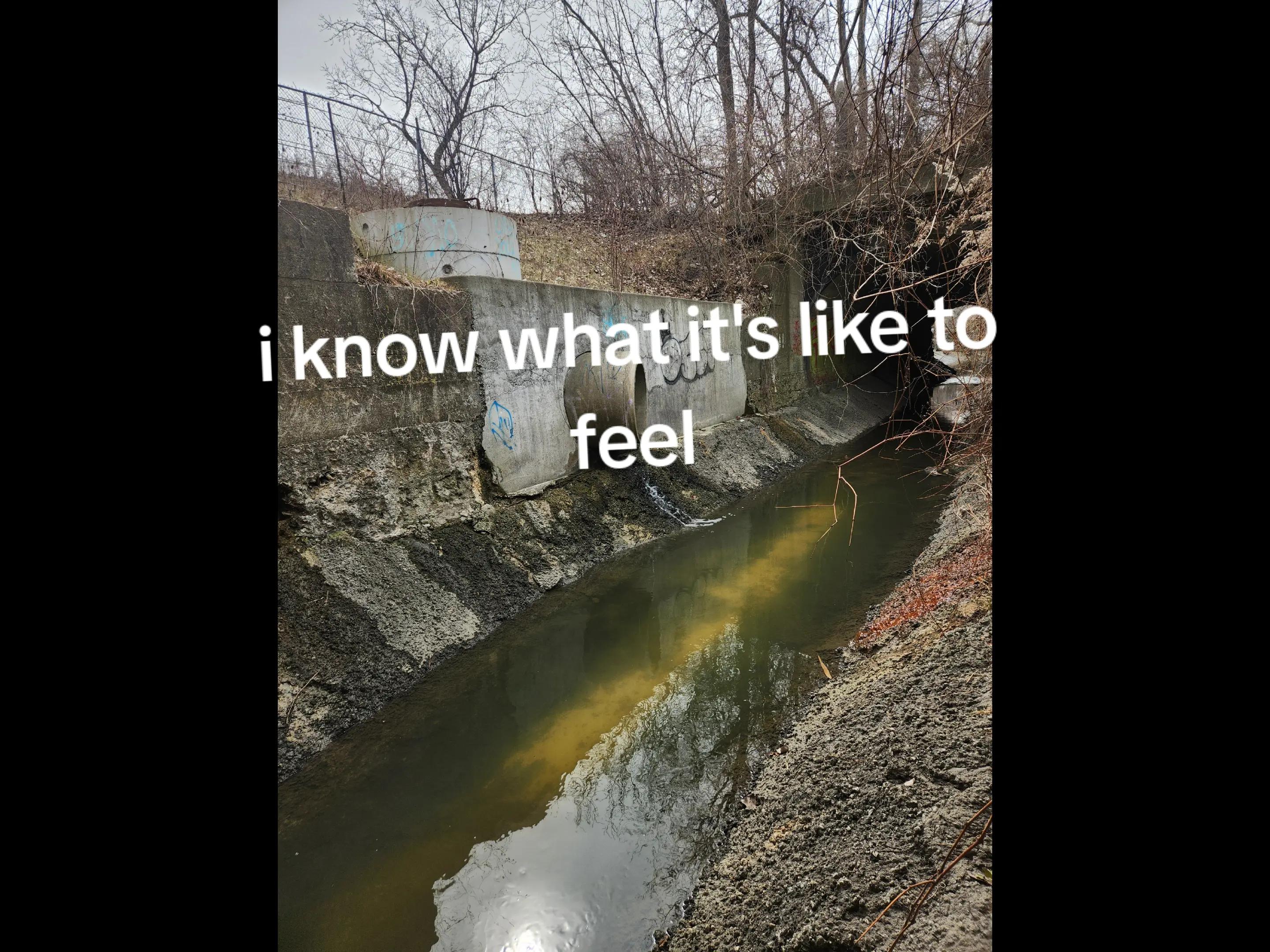 @TRXPZJMIZ101
