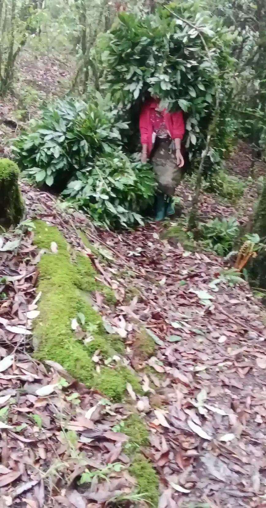 @ढालेनदर