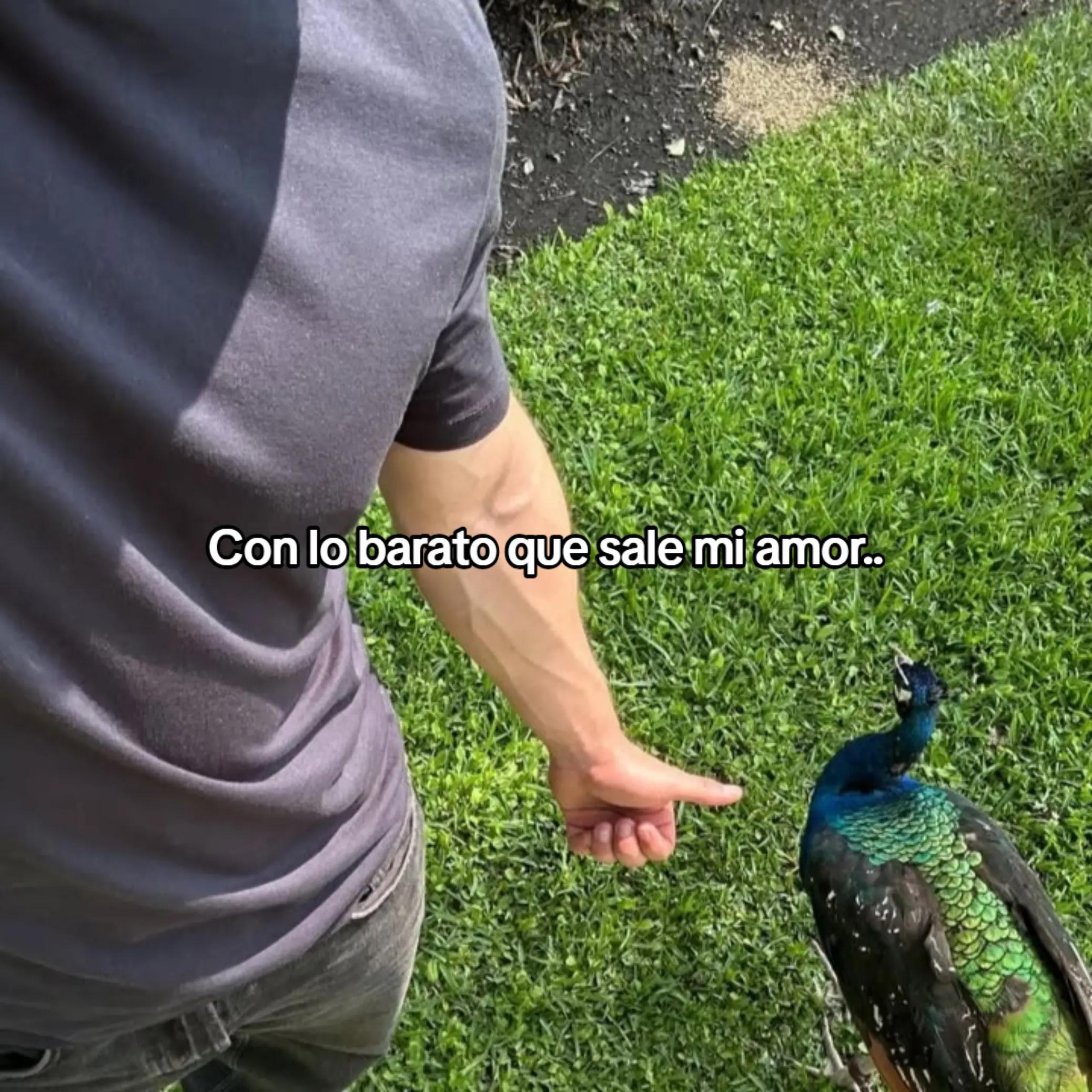 @Jhon M.