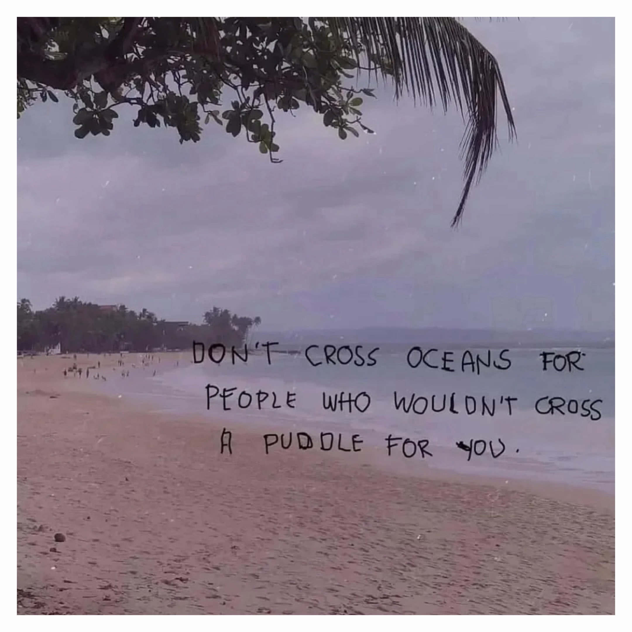 @Marcy Gonzalez