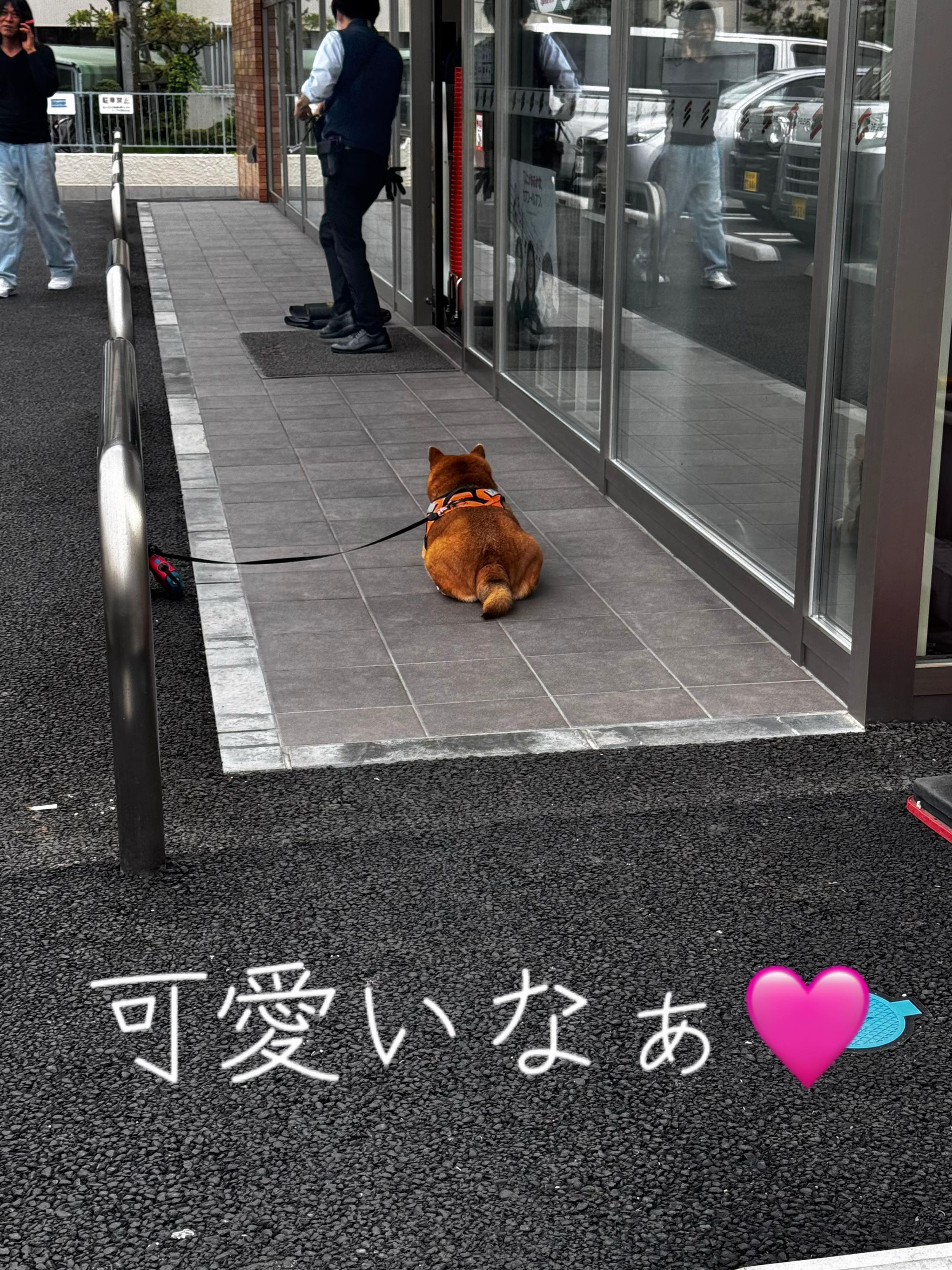 @やーまん
