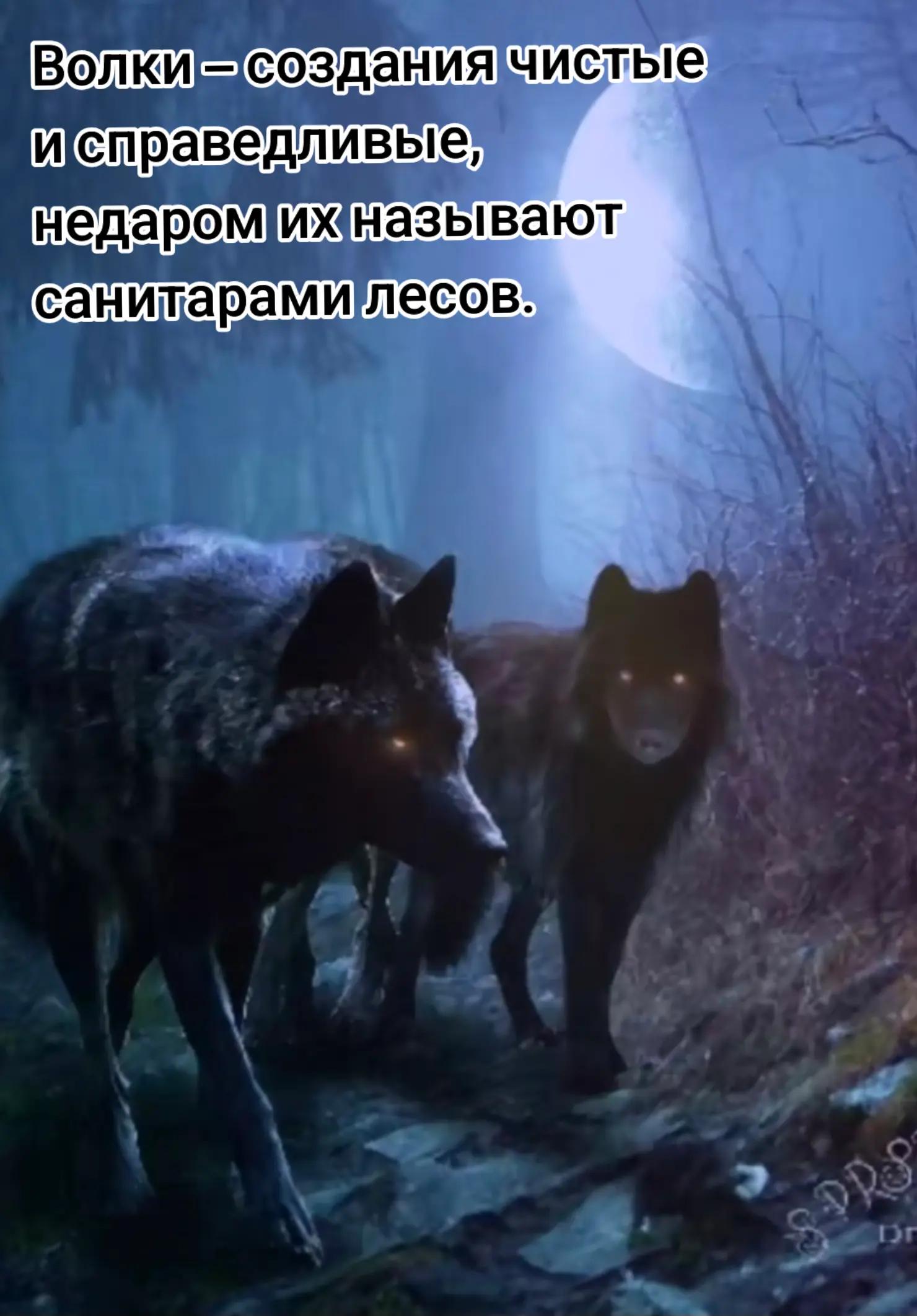 @ruslan4545