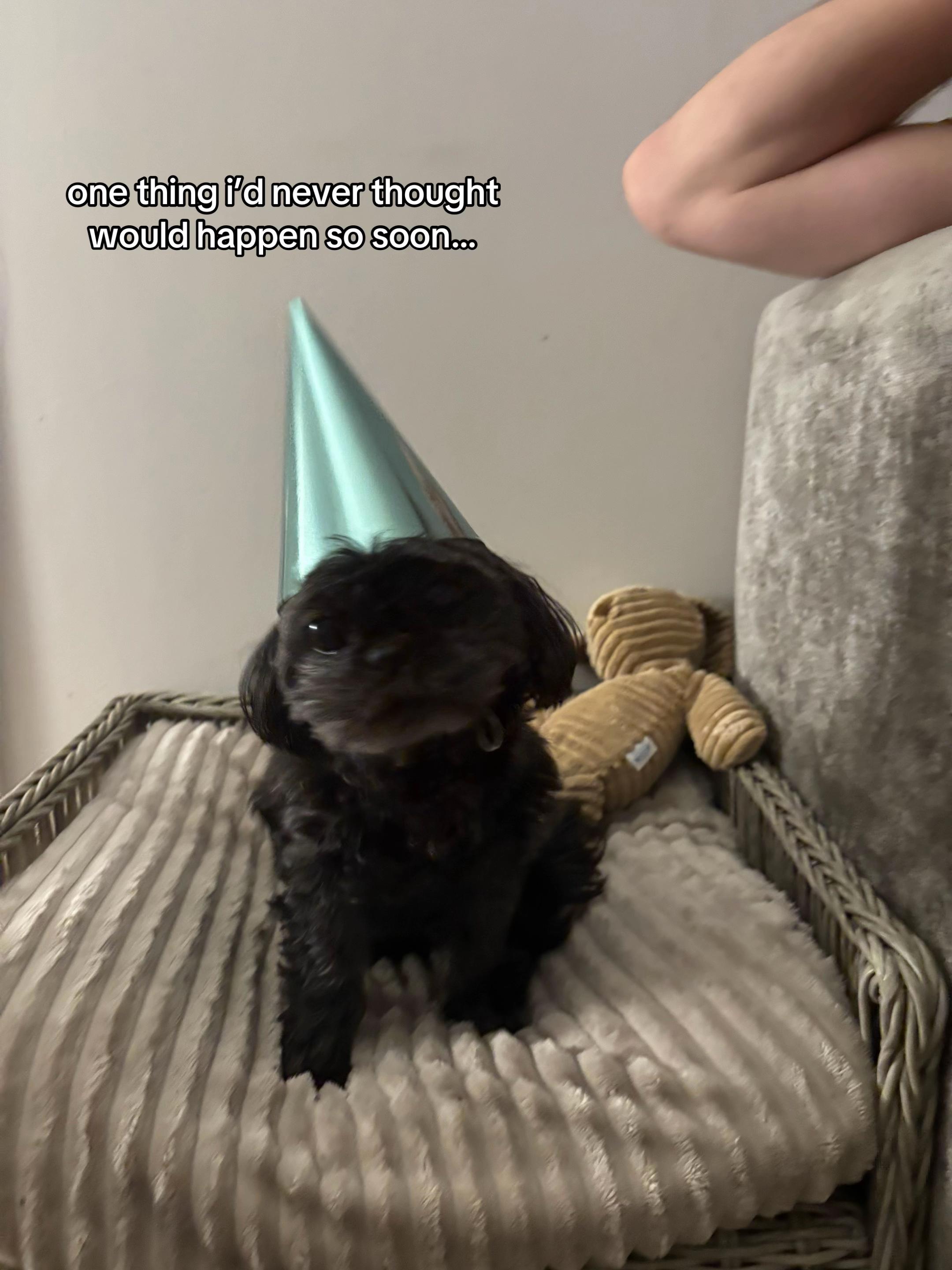 @lucynewell🤍
