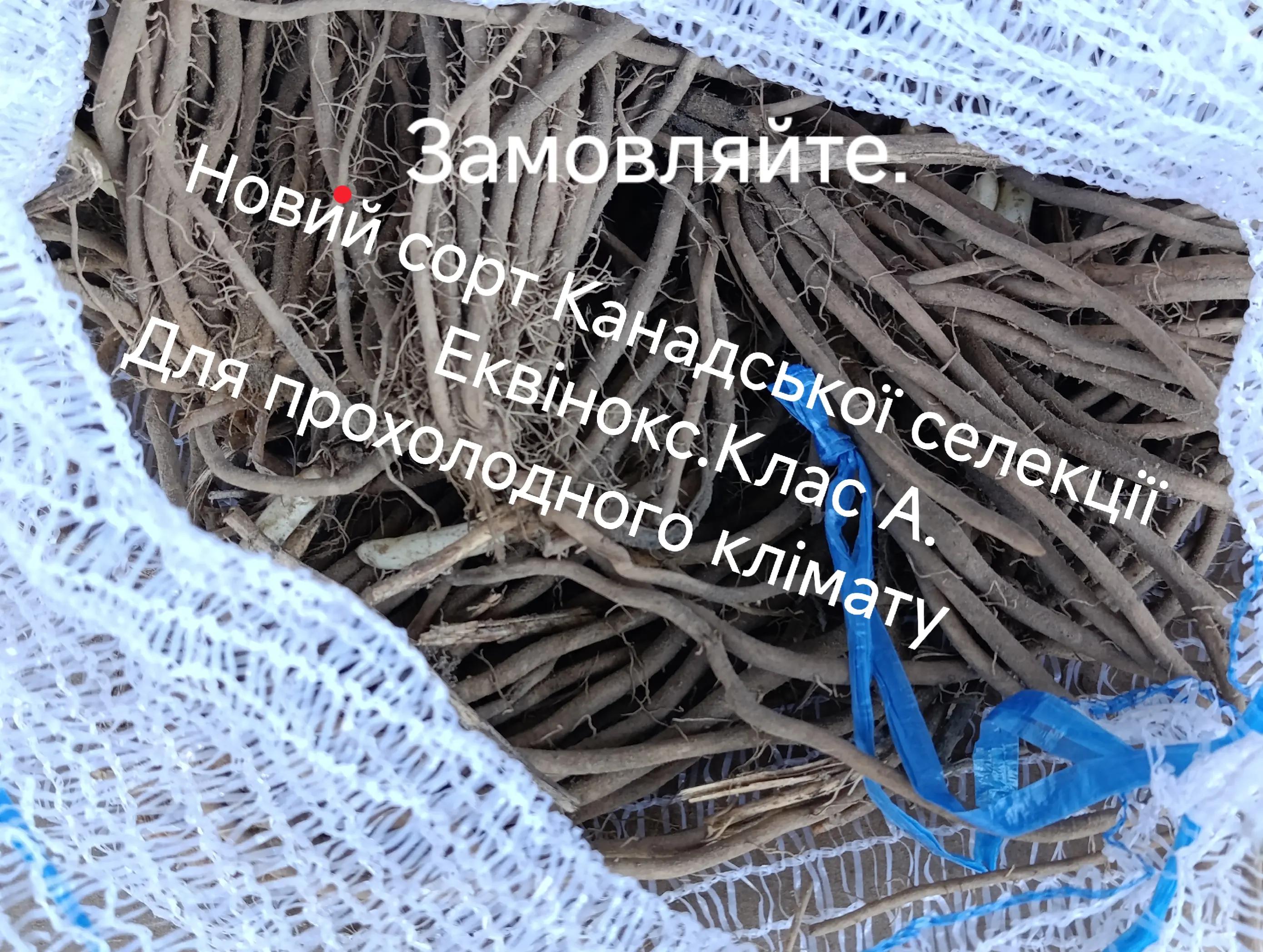 @Олег