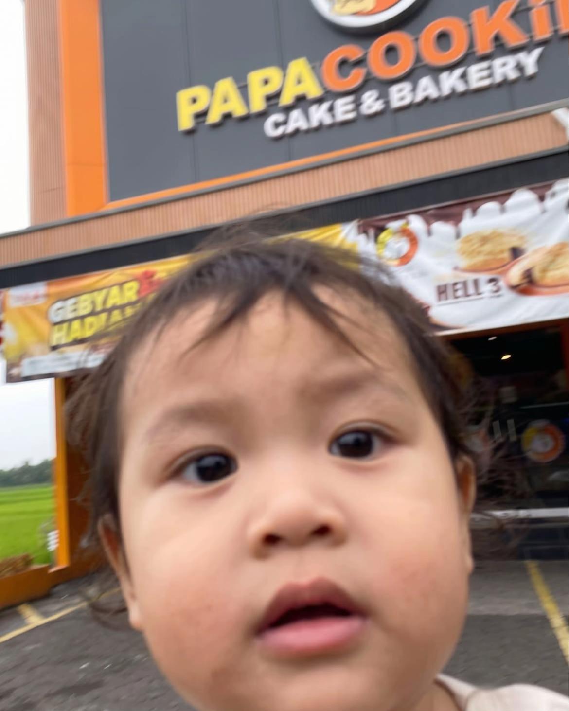@papacookiestuban
