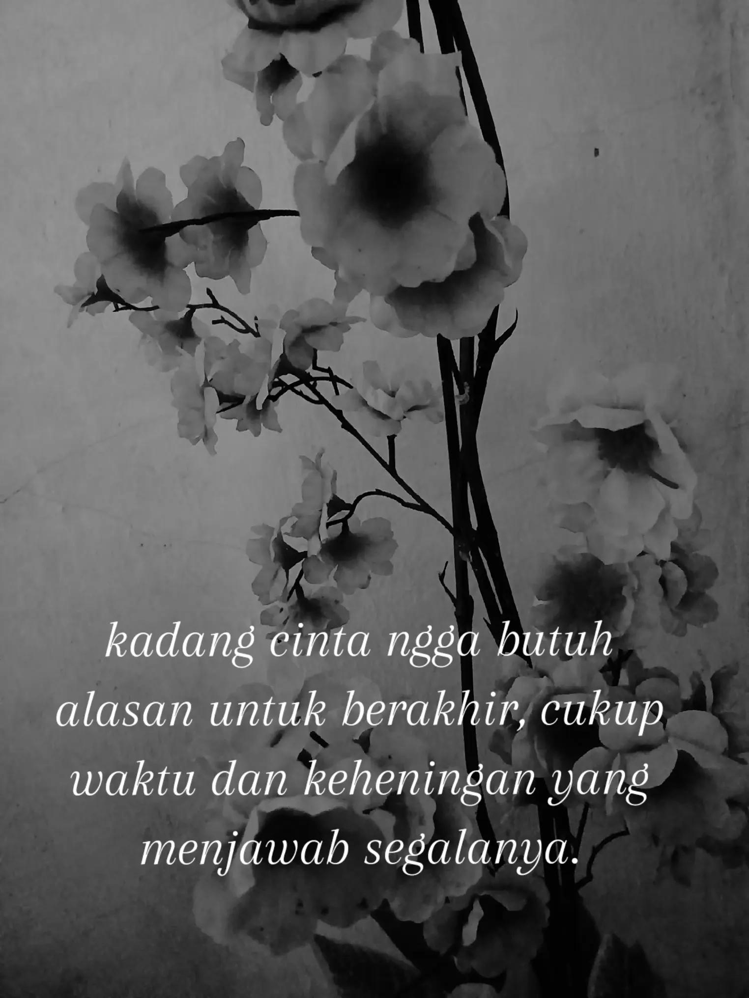 @Hardilla