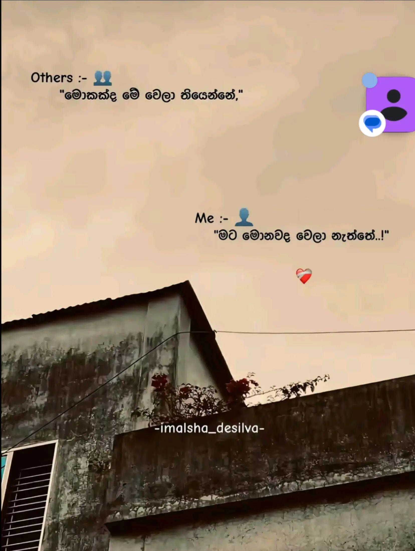 @𝙎𝗮𝗰𝗵𝗶┃සචි 〲 🩸🍃
