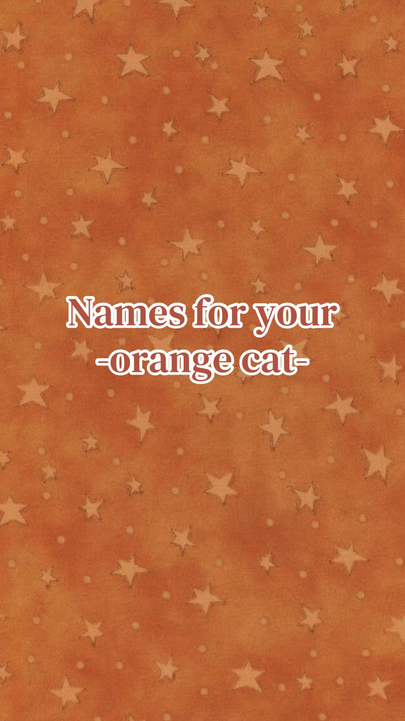 @baby names r us 🪺