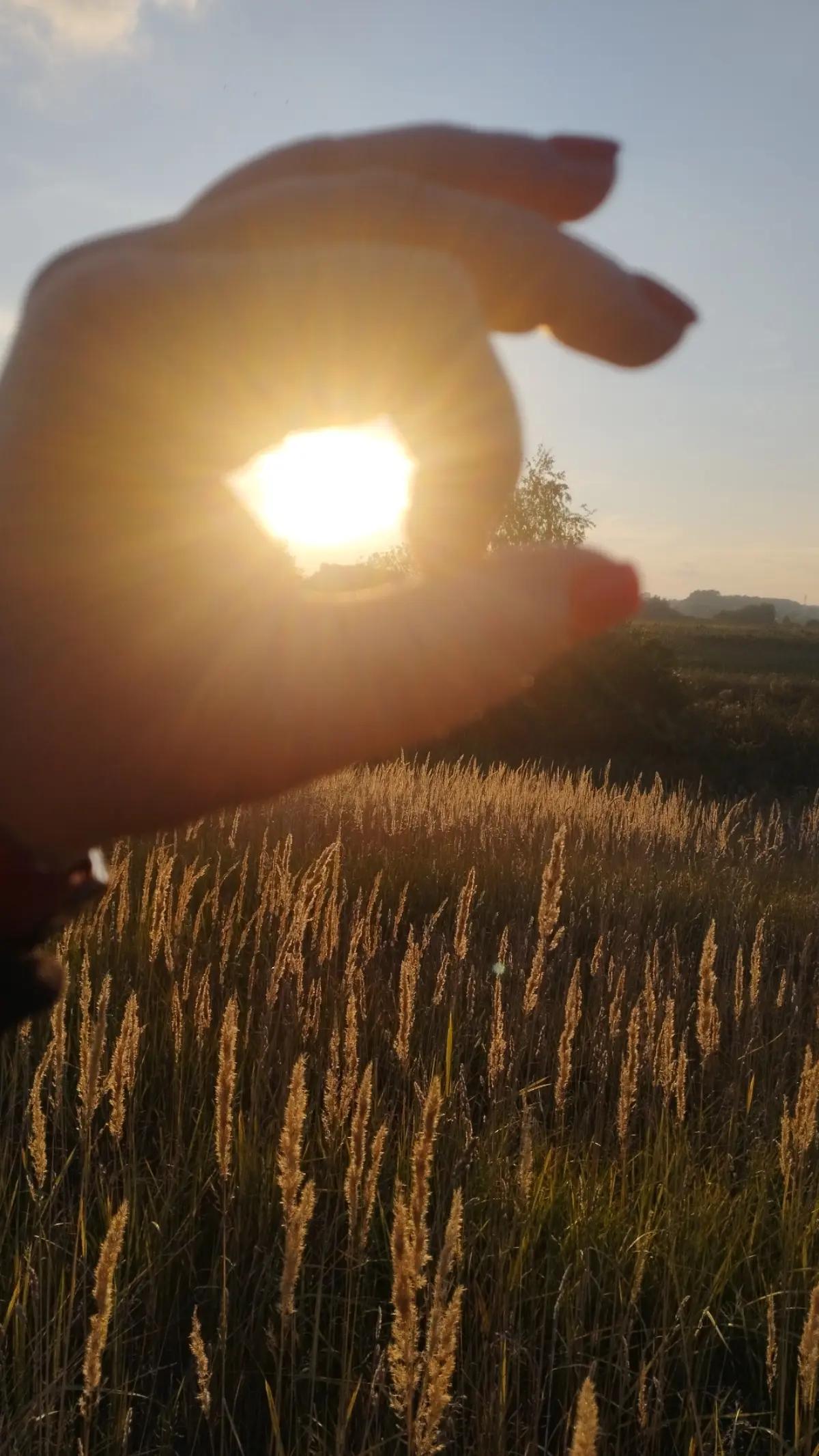 @...Elen...