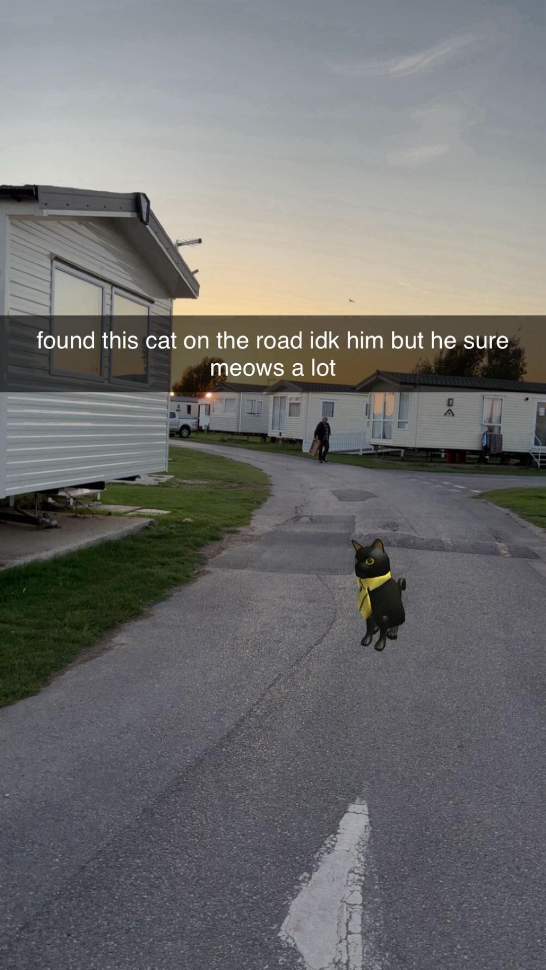@𝐚𝐯𝐚 𝐬𝐩𝐚𝐦☆&rsquo;