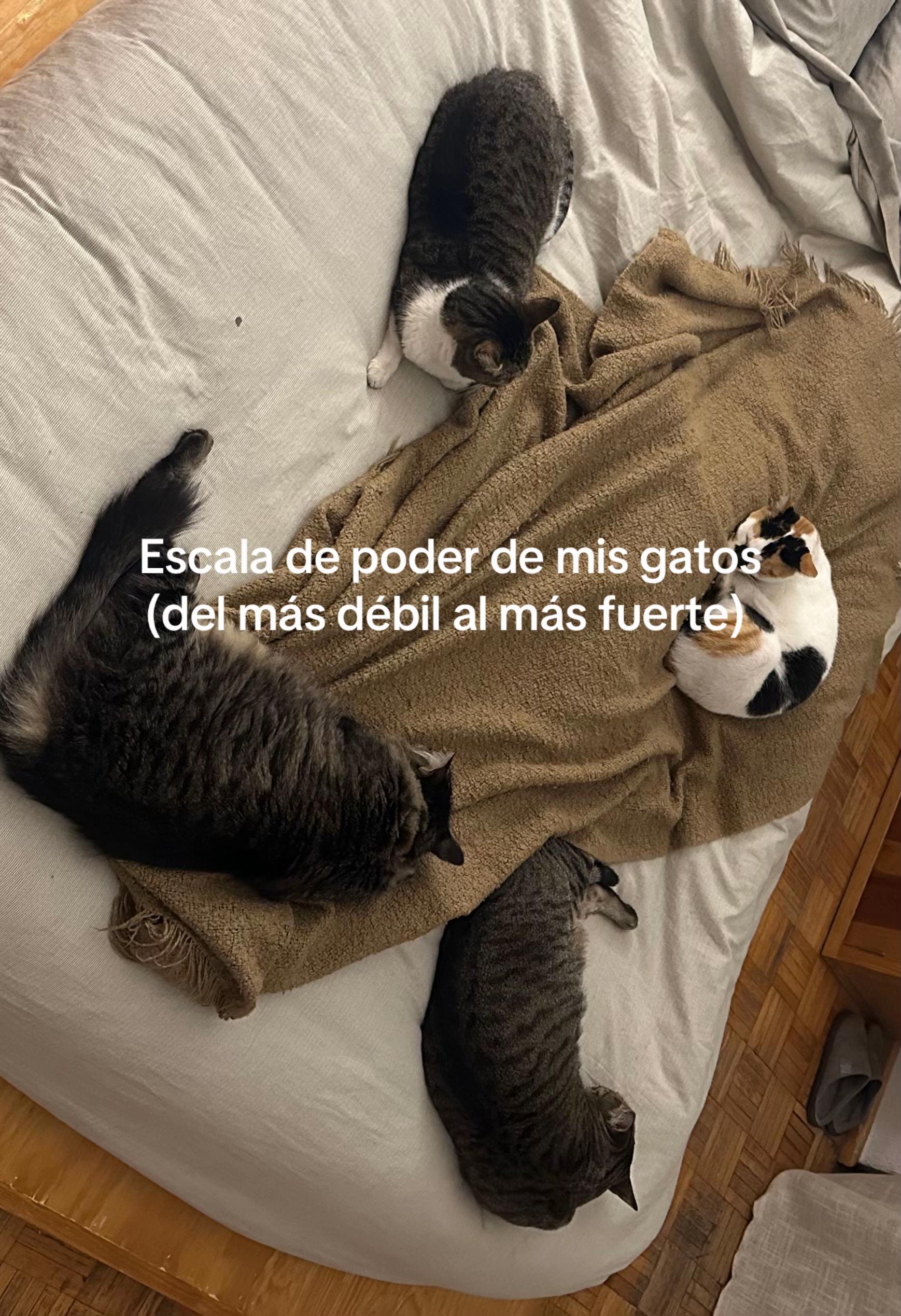 @Renata del Aguila