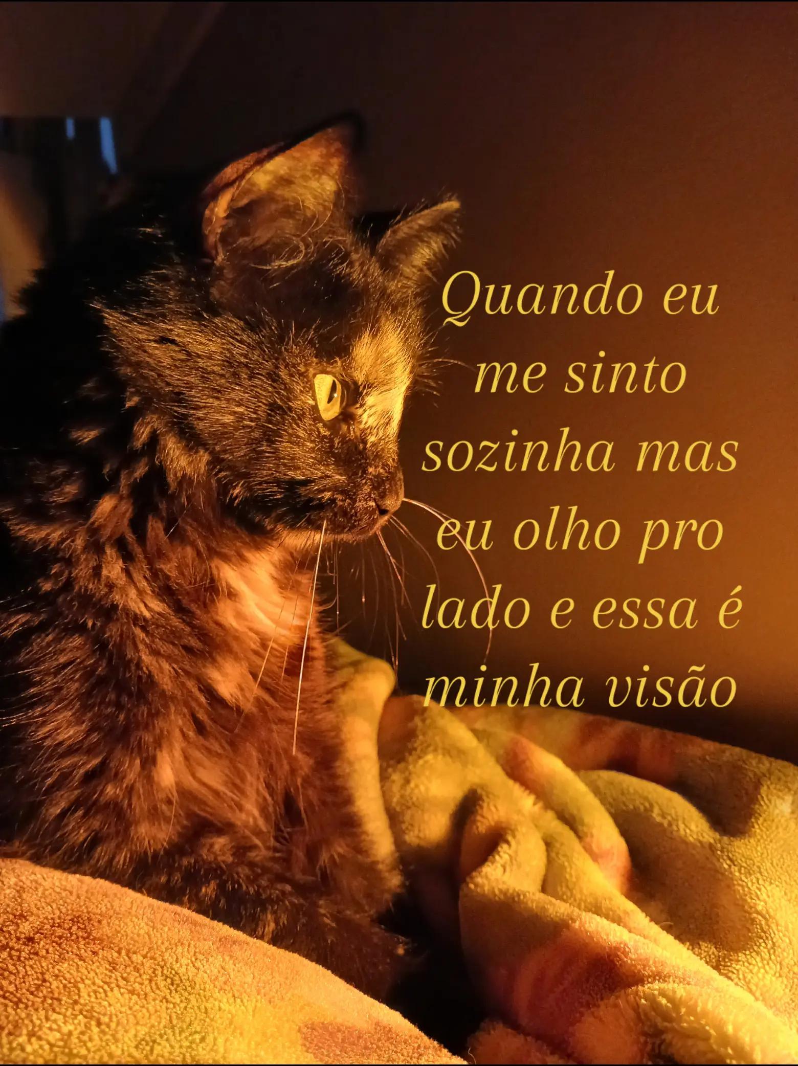 @໒ᩚ͜ ۟ 𓈒𝓛 іᥴꫀׁׅܻ ͡꒱ִ໑ִׄ ᩘ̼۪🪷