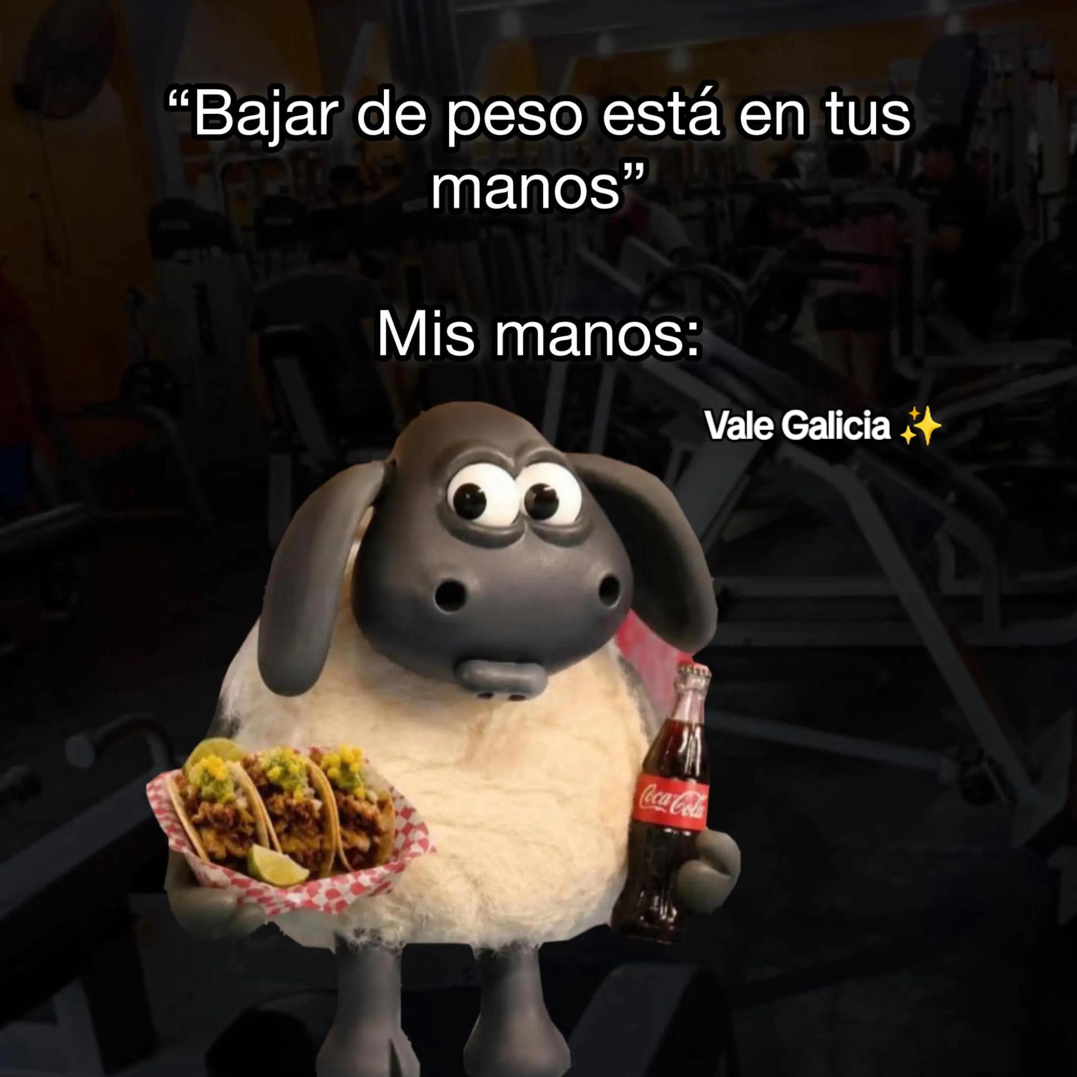 @Vale de Gales