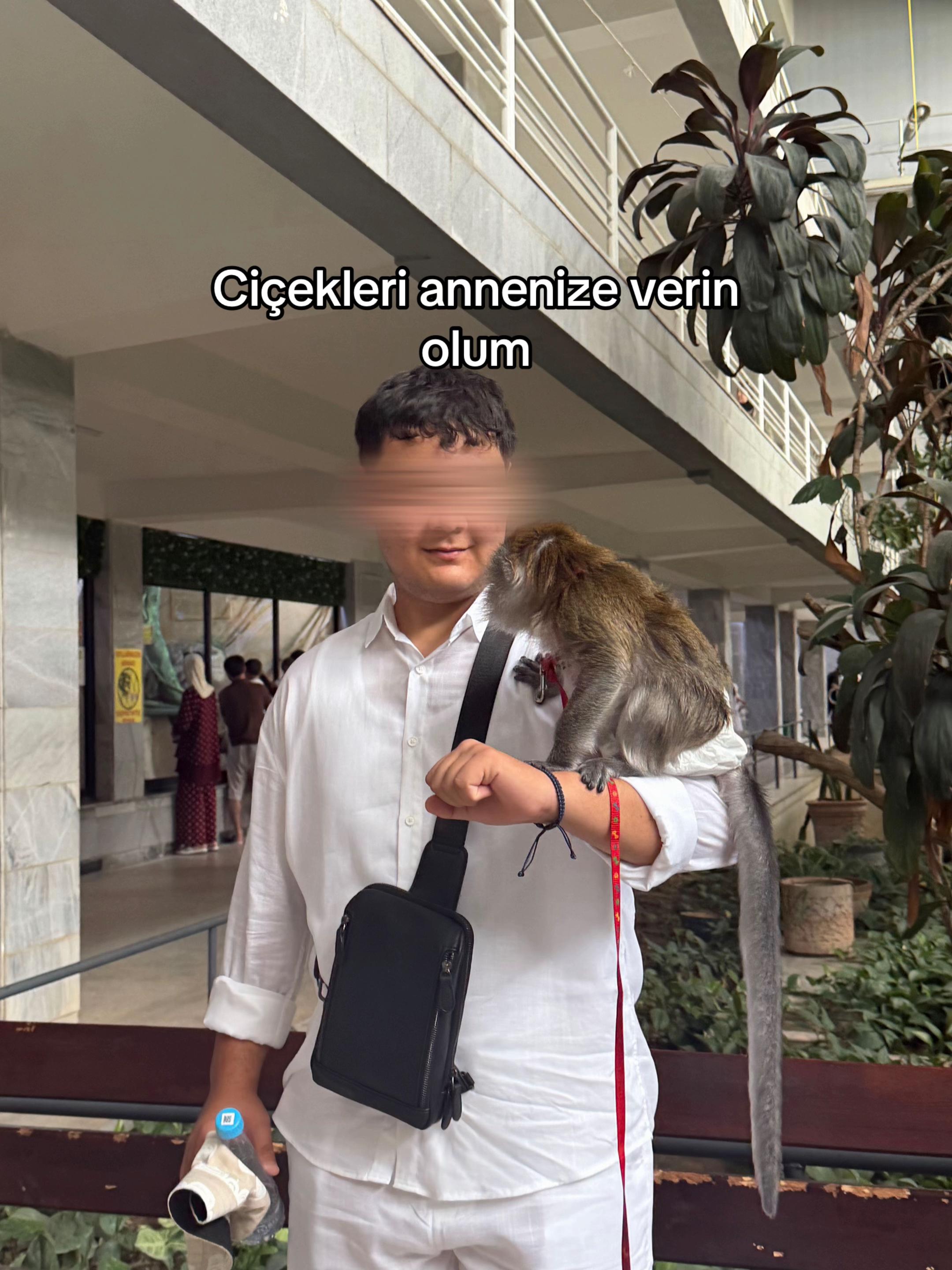 @Muhammet_hajy🦍🕋