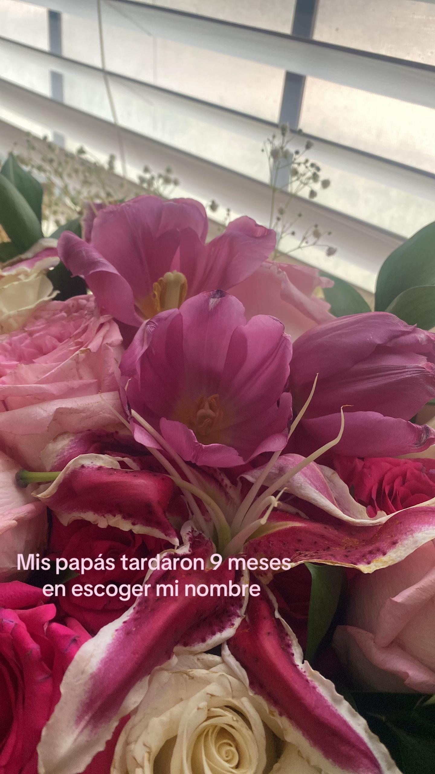 @cami🌺