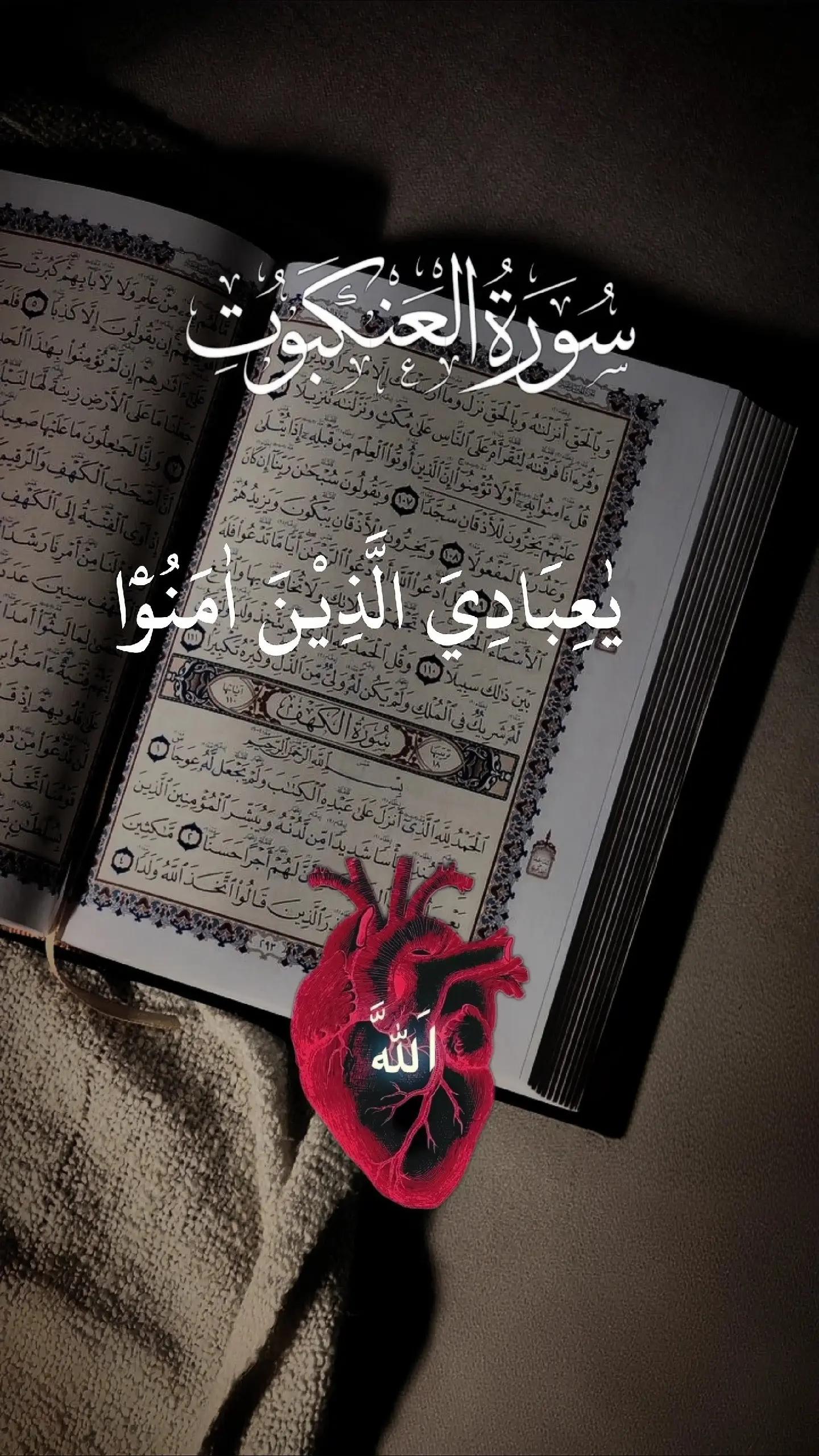 @⚡عيس💯HAIDRE⚡