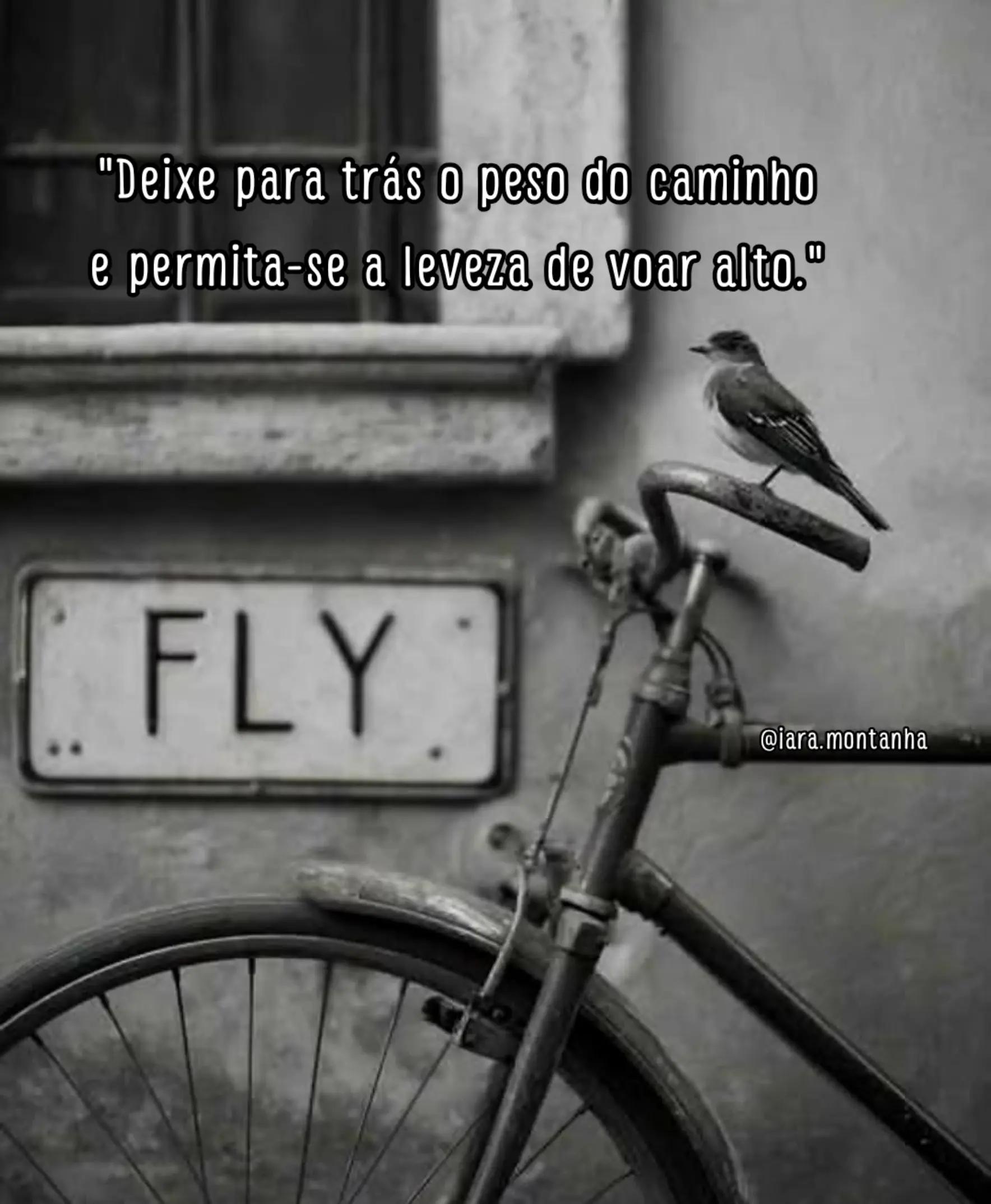 @IARA GIRASSOL