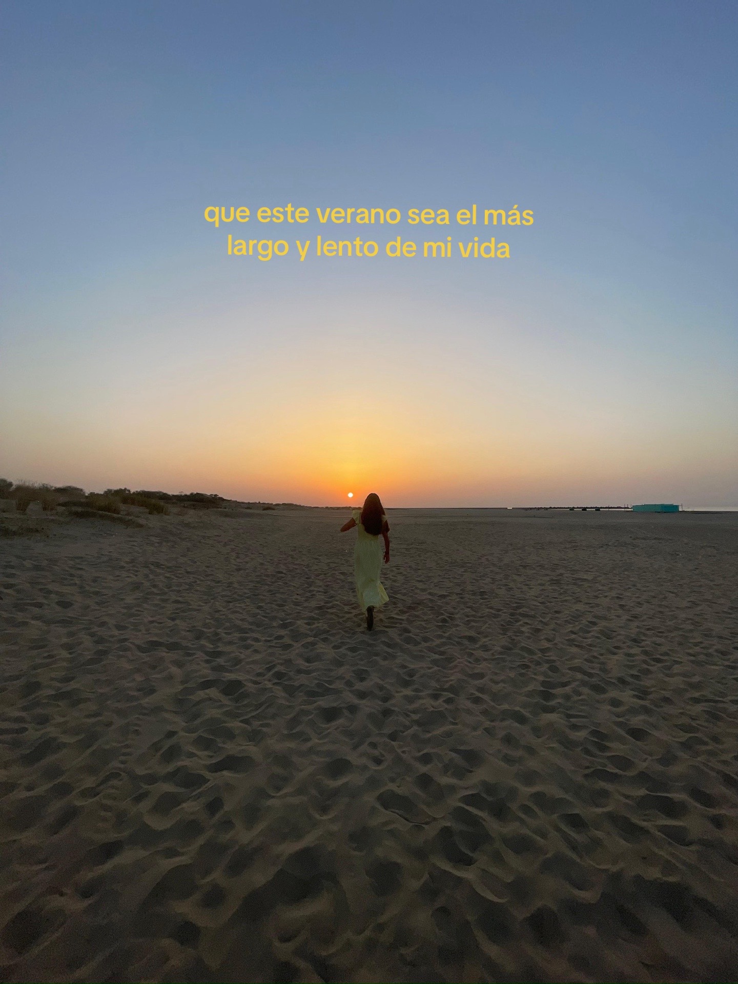 @cerdipous