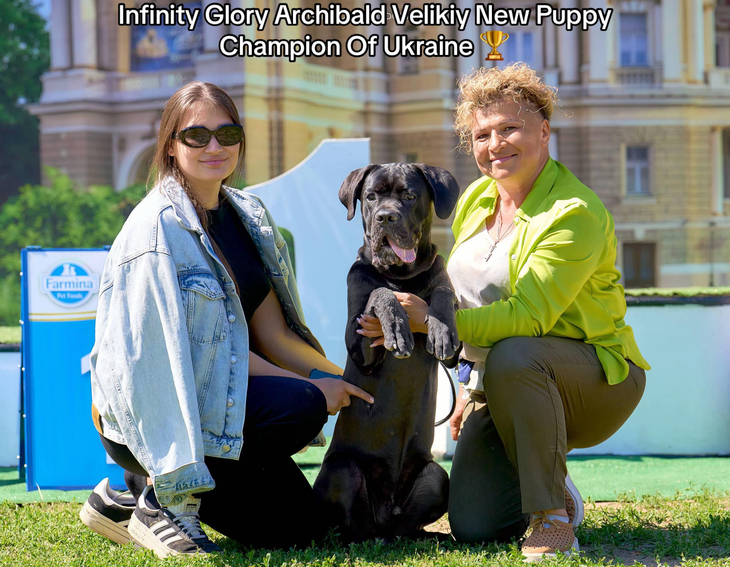 @Infinity Glory 🇺🇦
