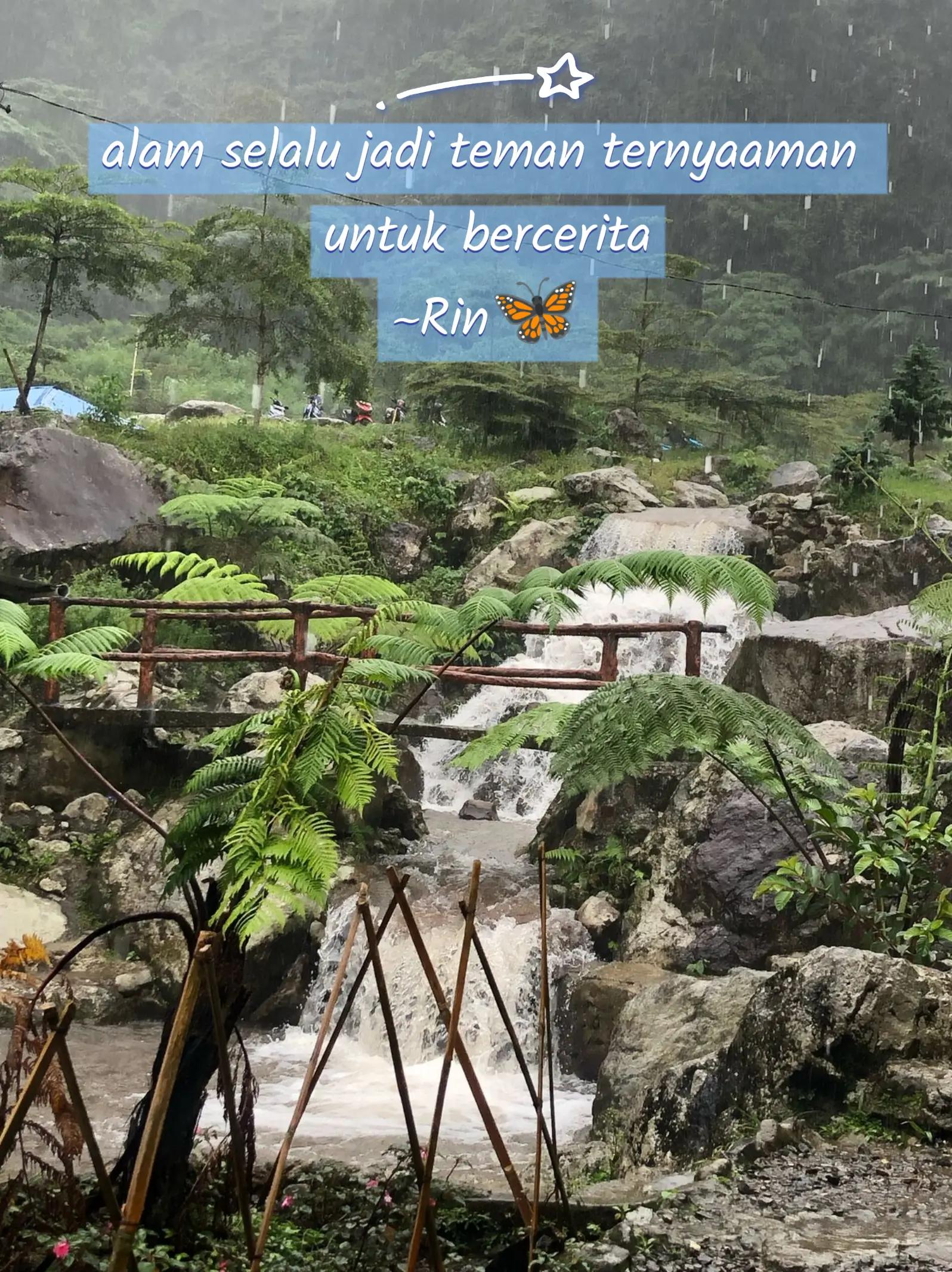 @Rinn🦋