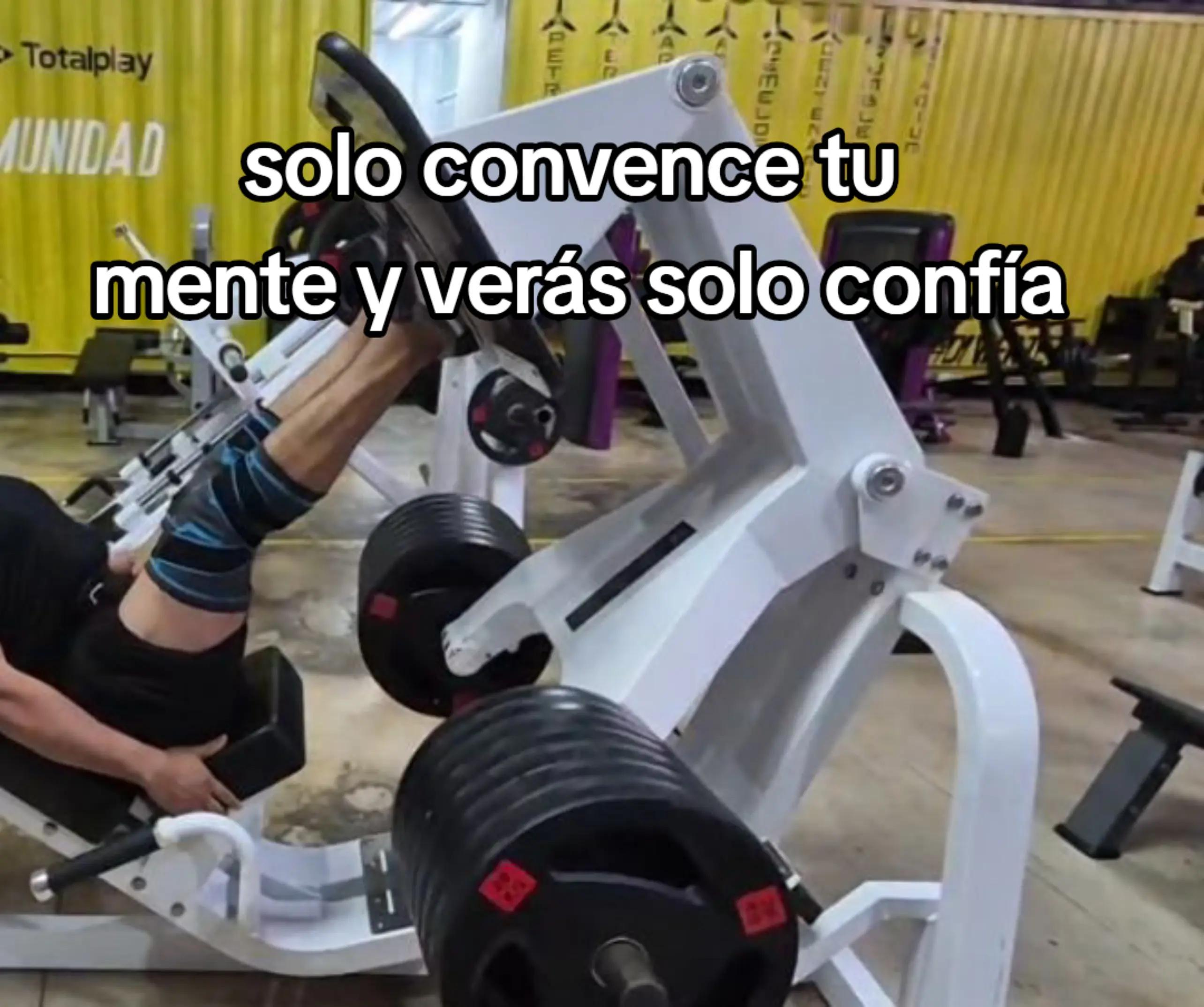 @tiburóncin