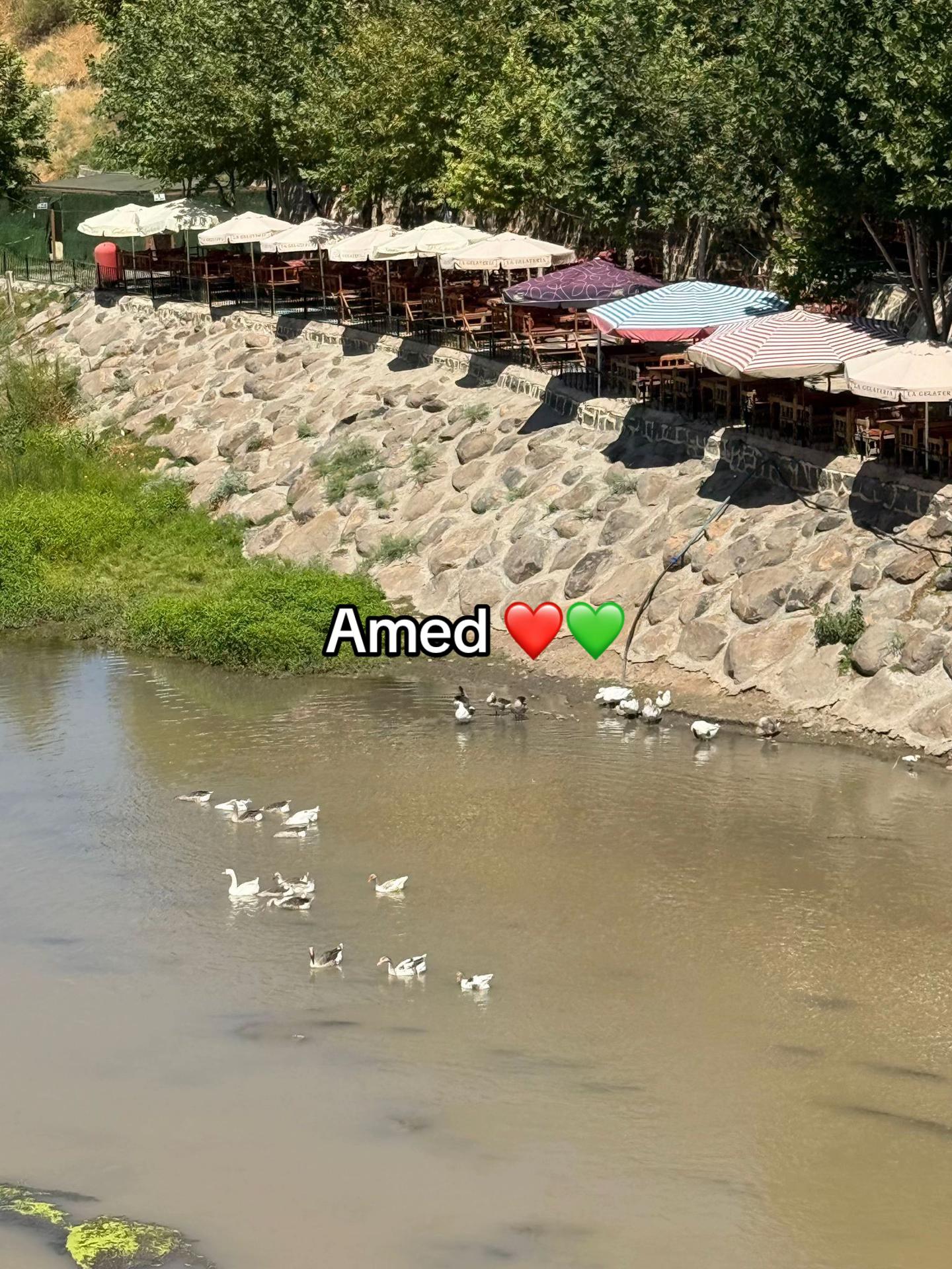@kurdishmedstudent