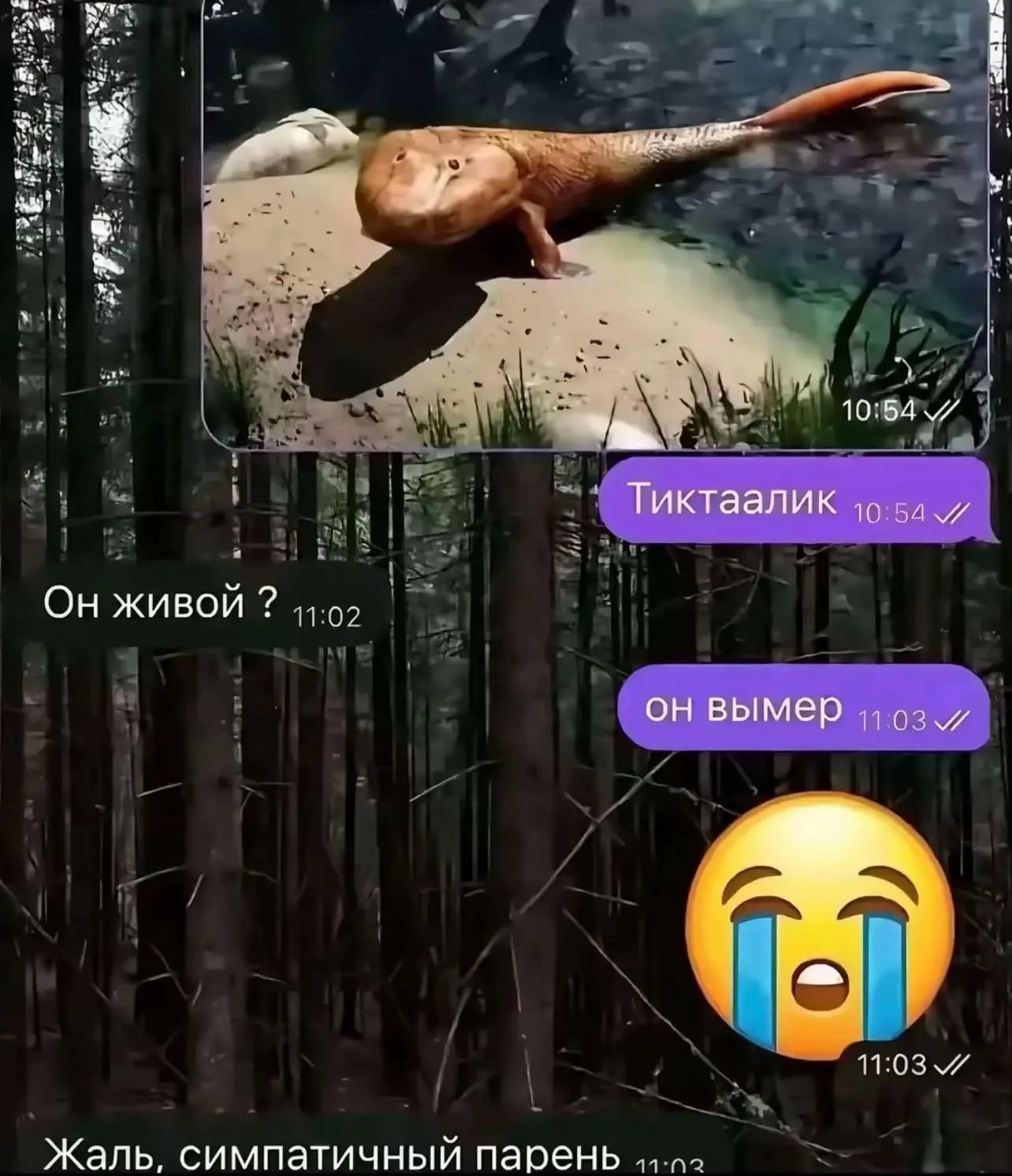 @dnnm1ce🪽