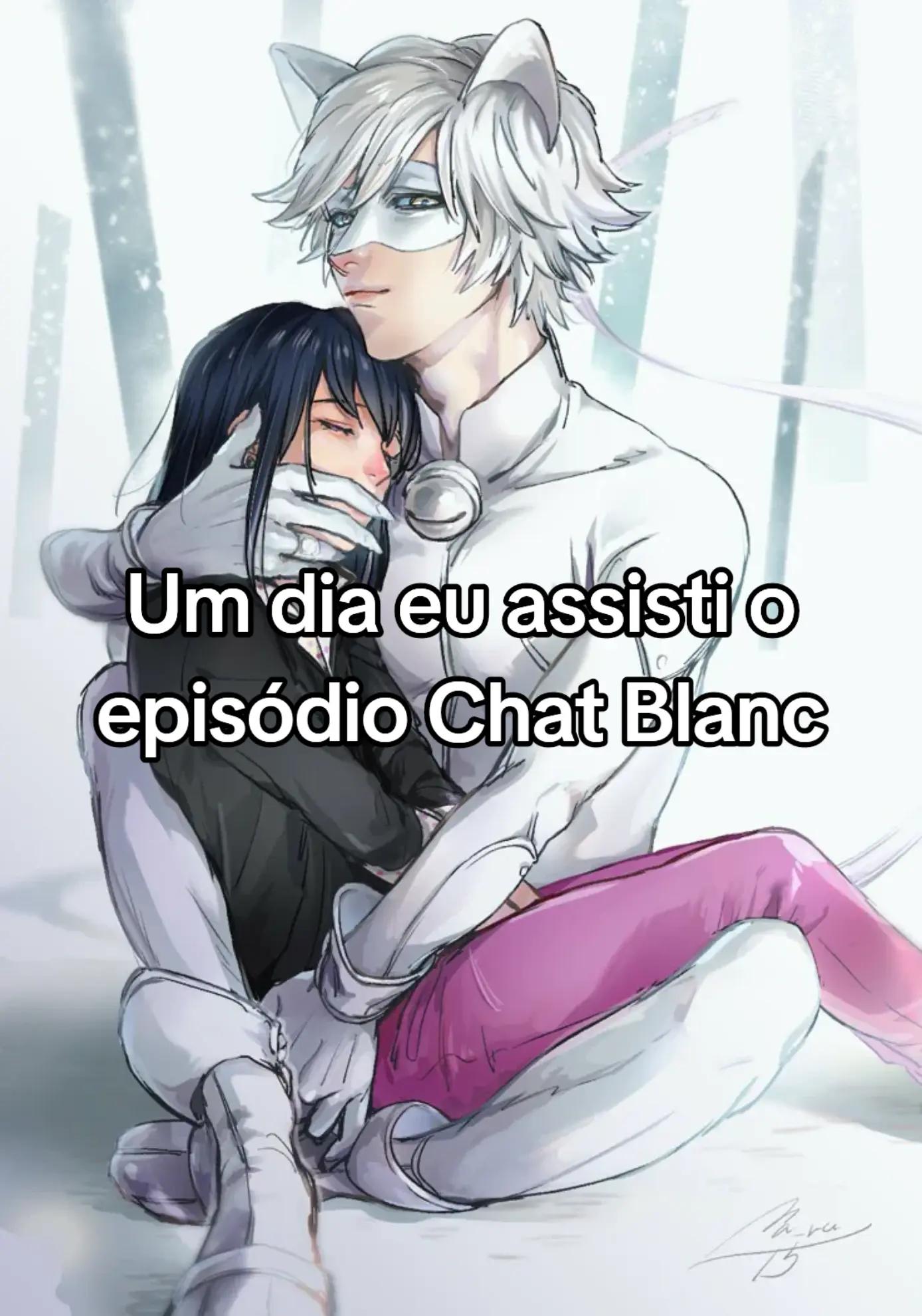 @Bruna Stein