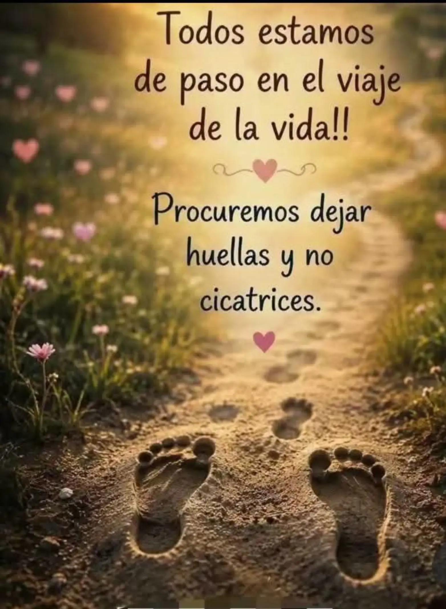 @Francisco Valdivia