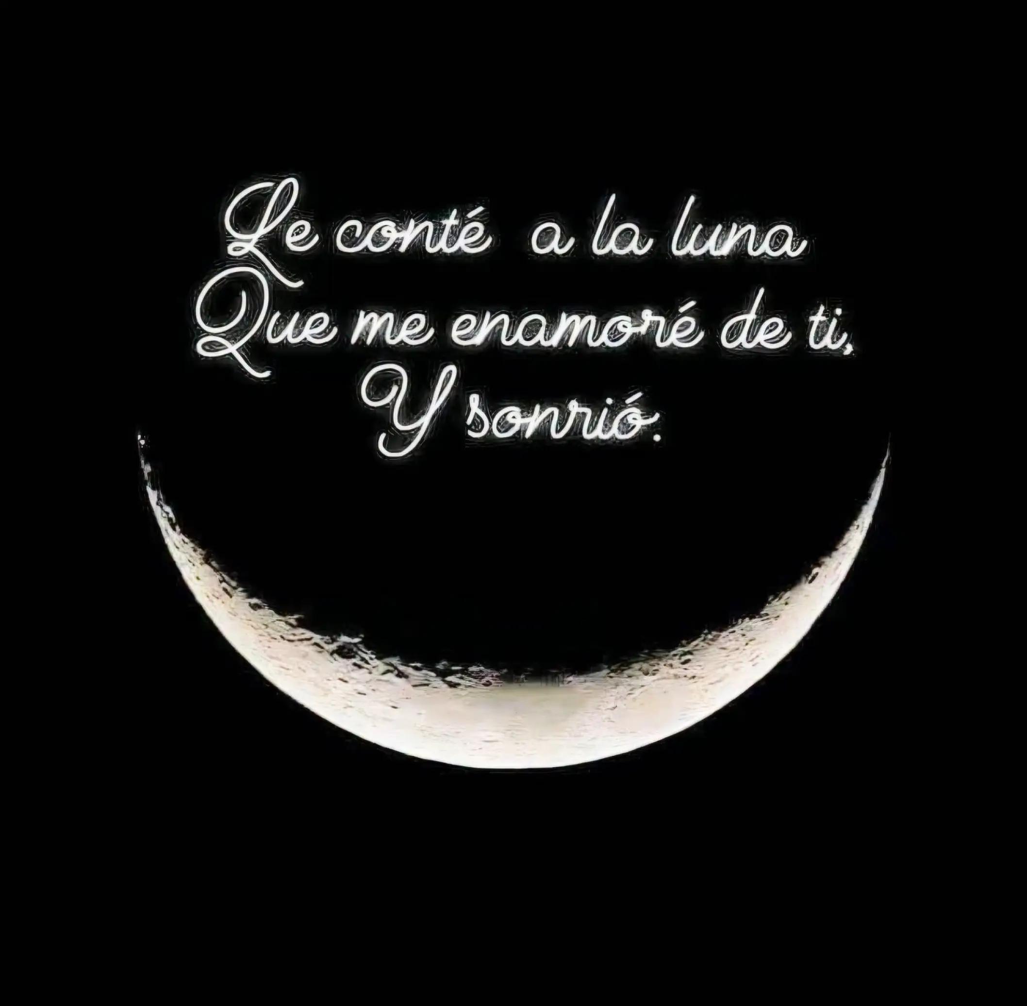 @yaz🌻✨🌟🌞🌛🐘🐘🐘🌞🌙✨🌟🌻