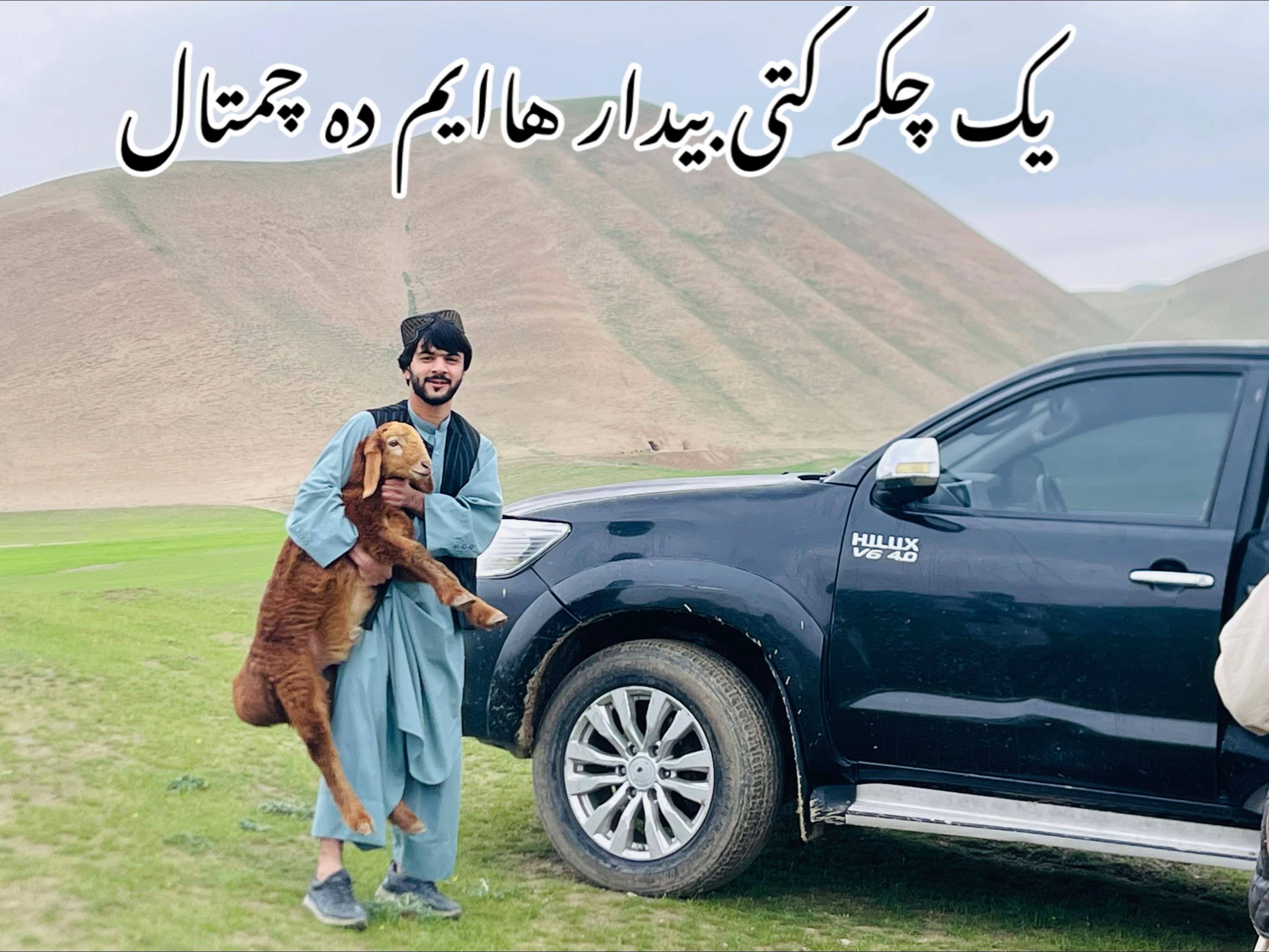 @hamidullah_hamini_511
