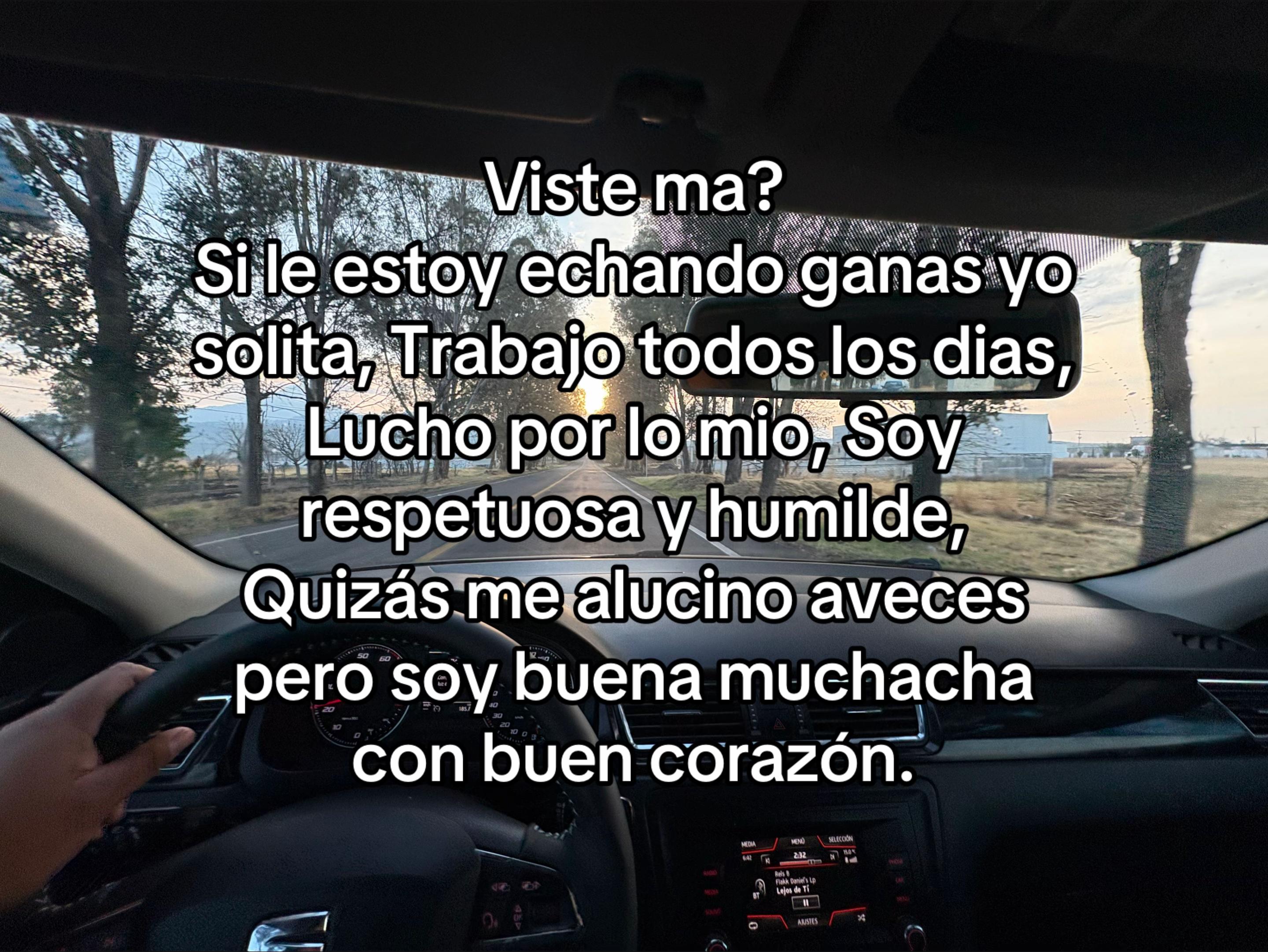 @Lizeth Rodriguez Martinez