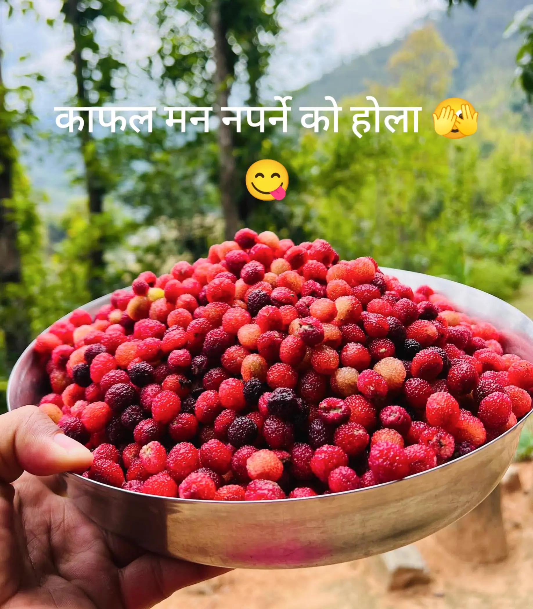 @Soniyasharma11 👮🇳🇵