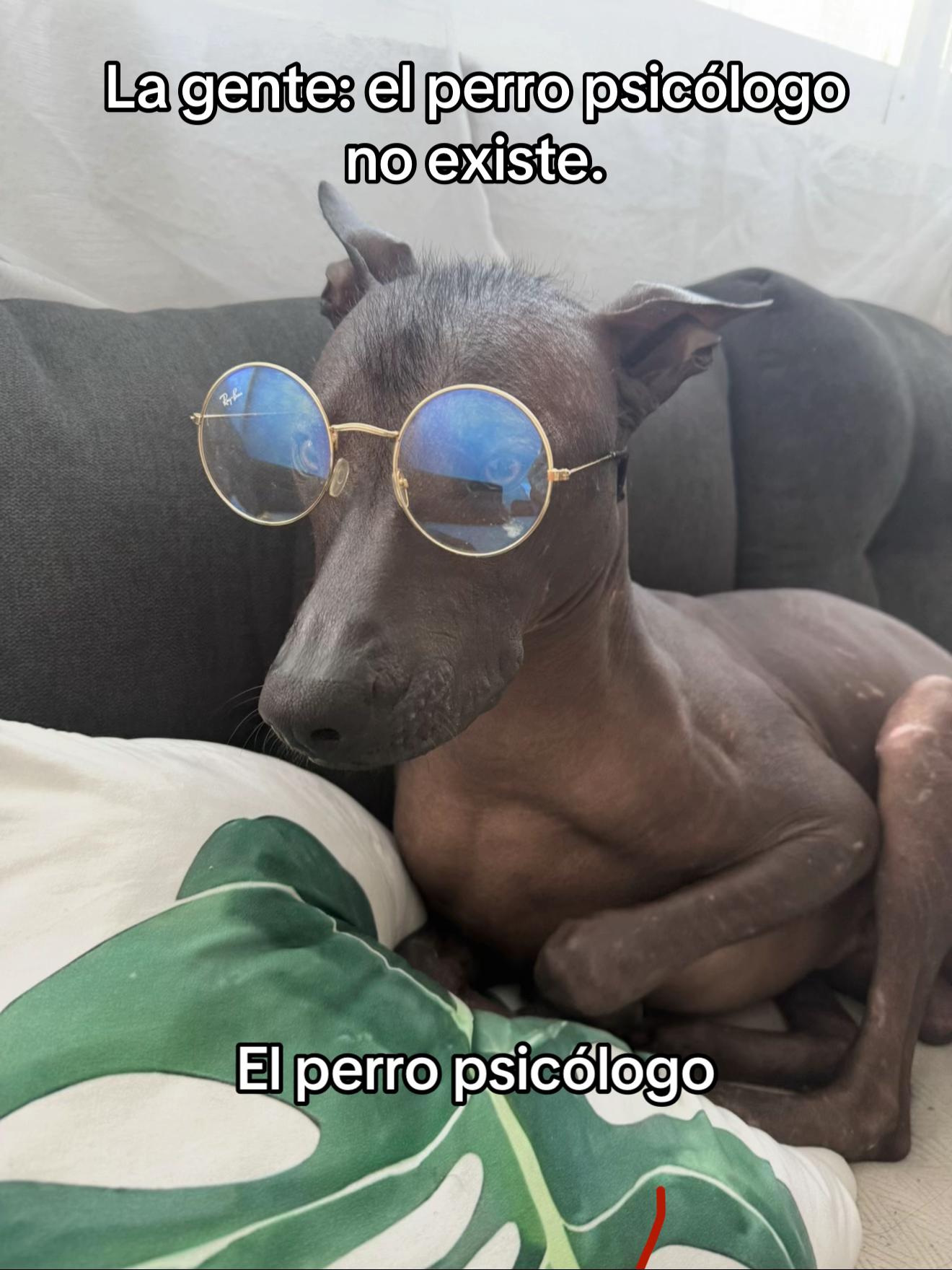 @Alejandra Coz