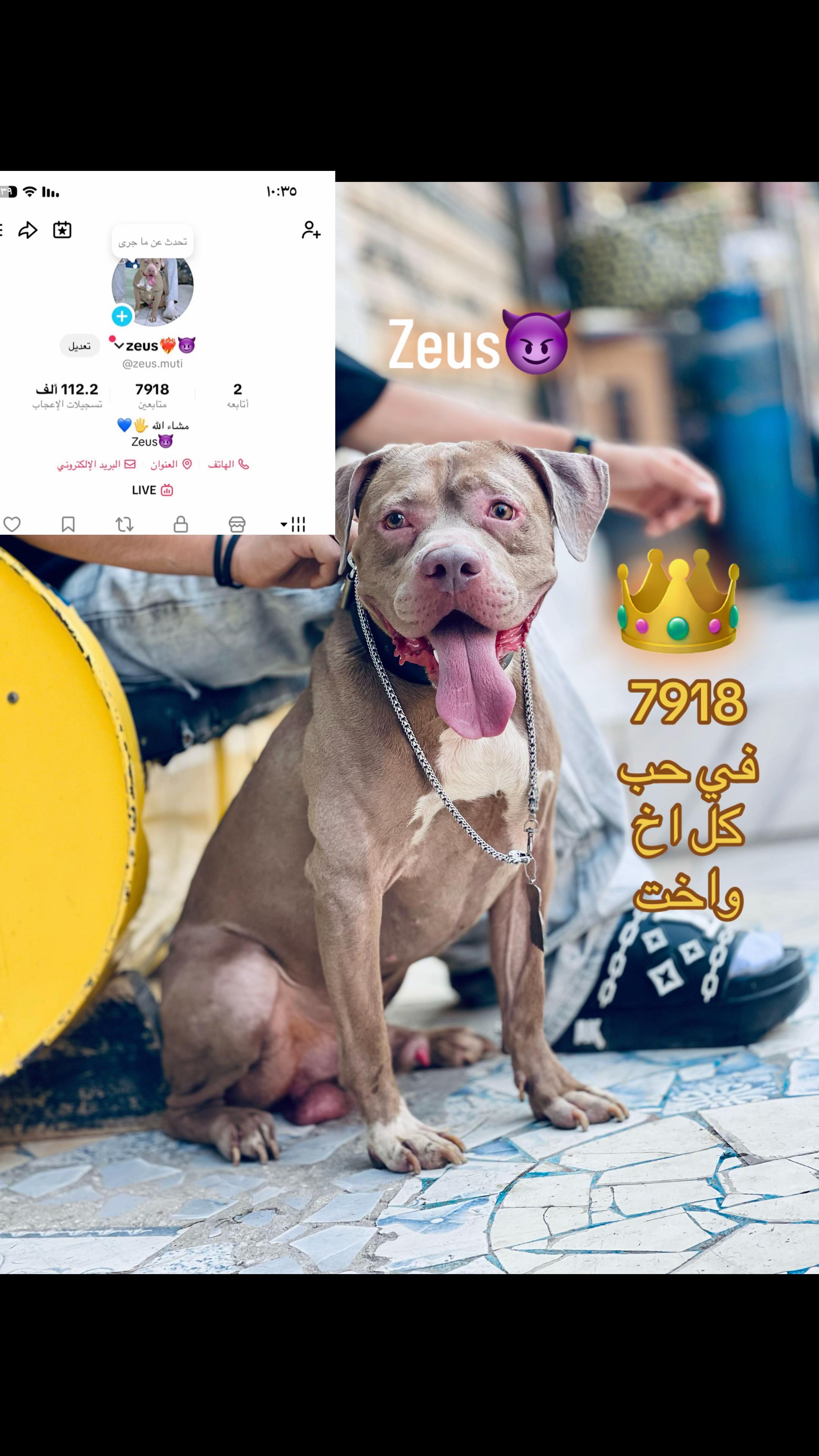 @zeus❤️🔥😈
