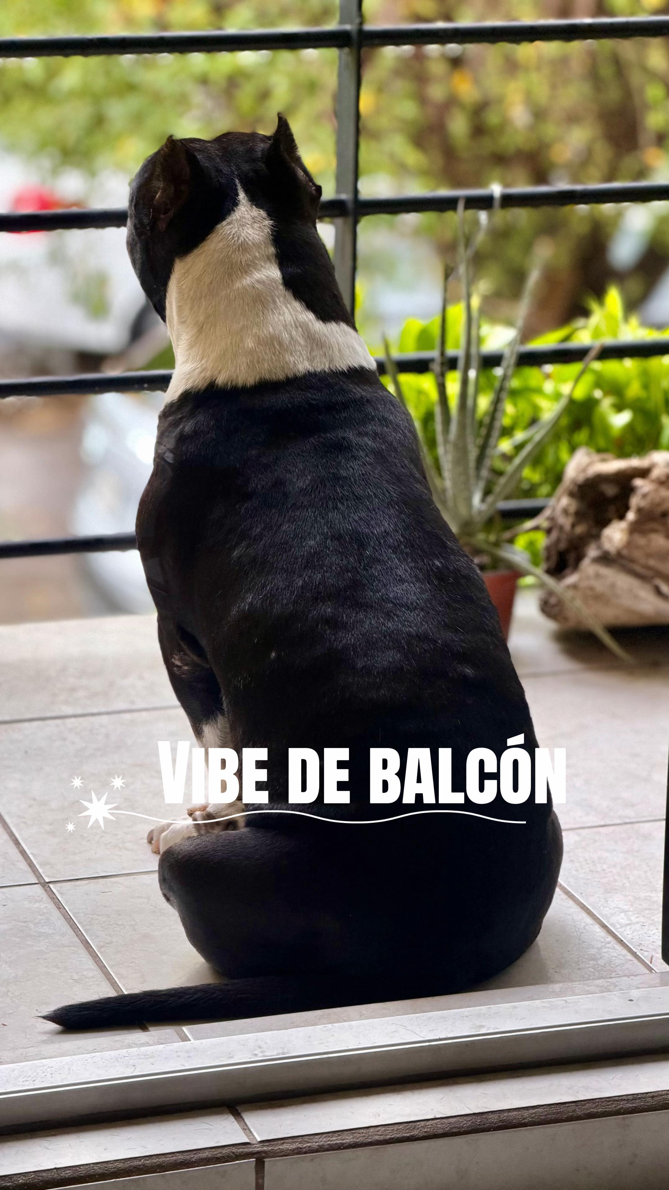 @Dulce LND
