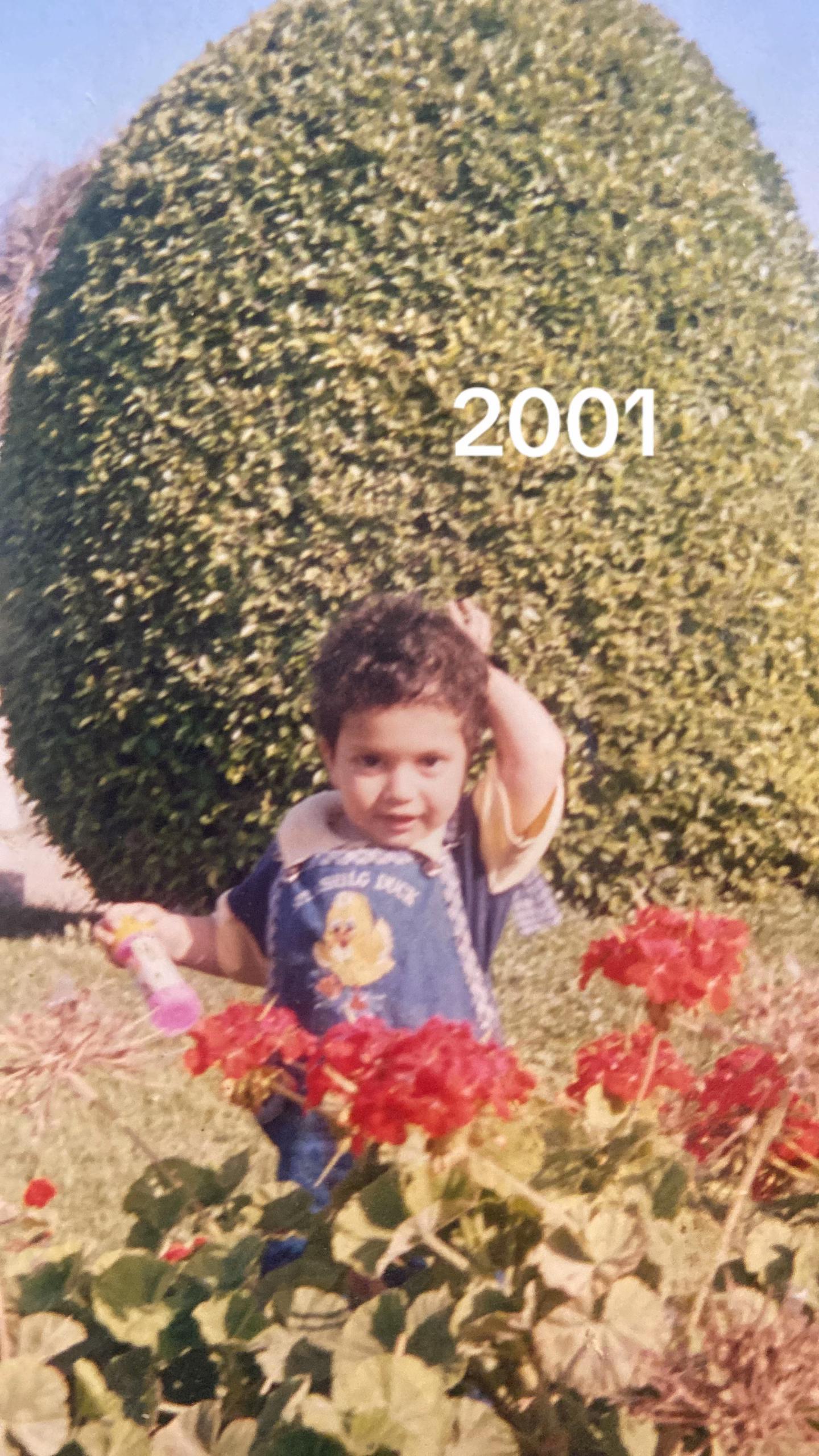 @Zeiad Ashraf Elfeky