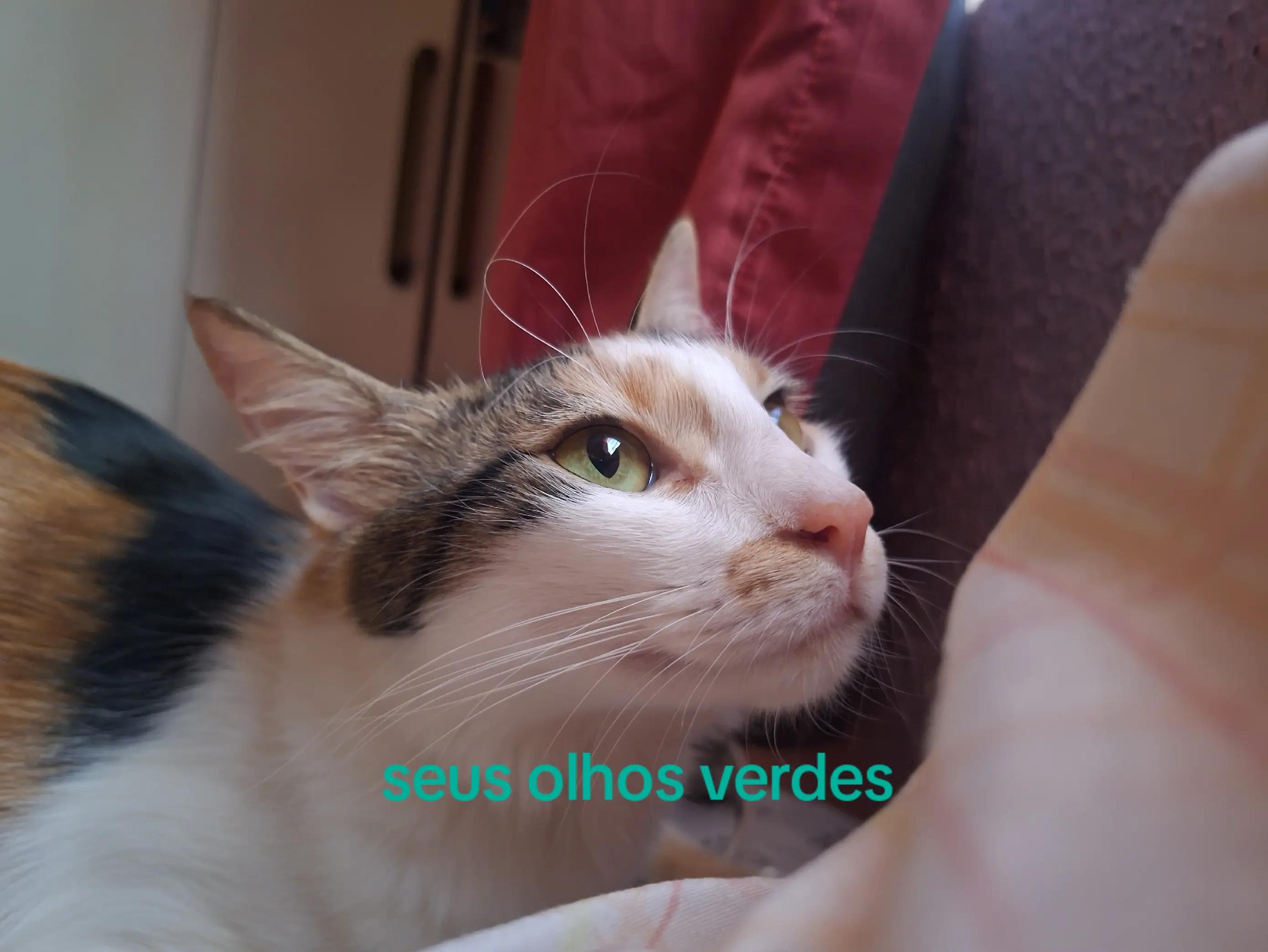 @Bruna Ribeiro