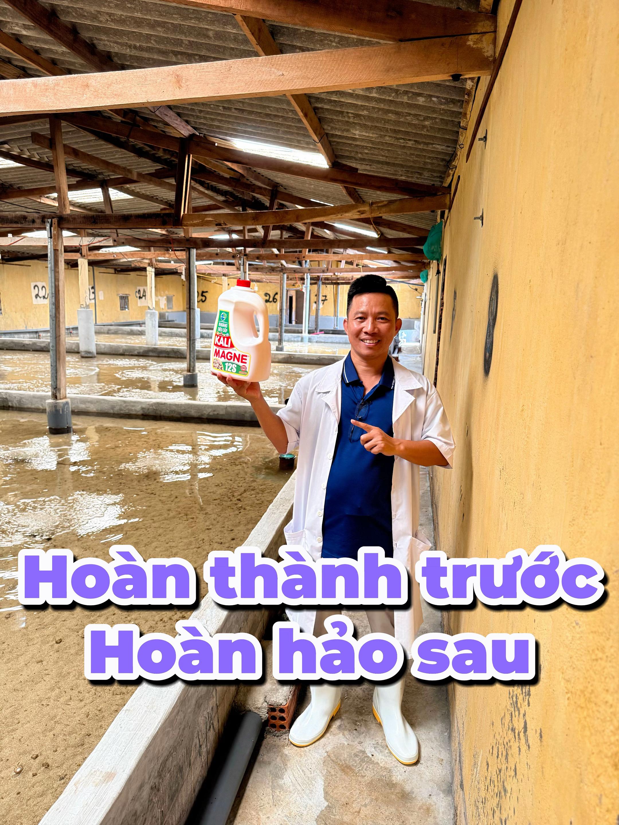 @Mr Qu&acirc;n