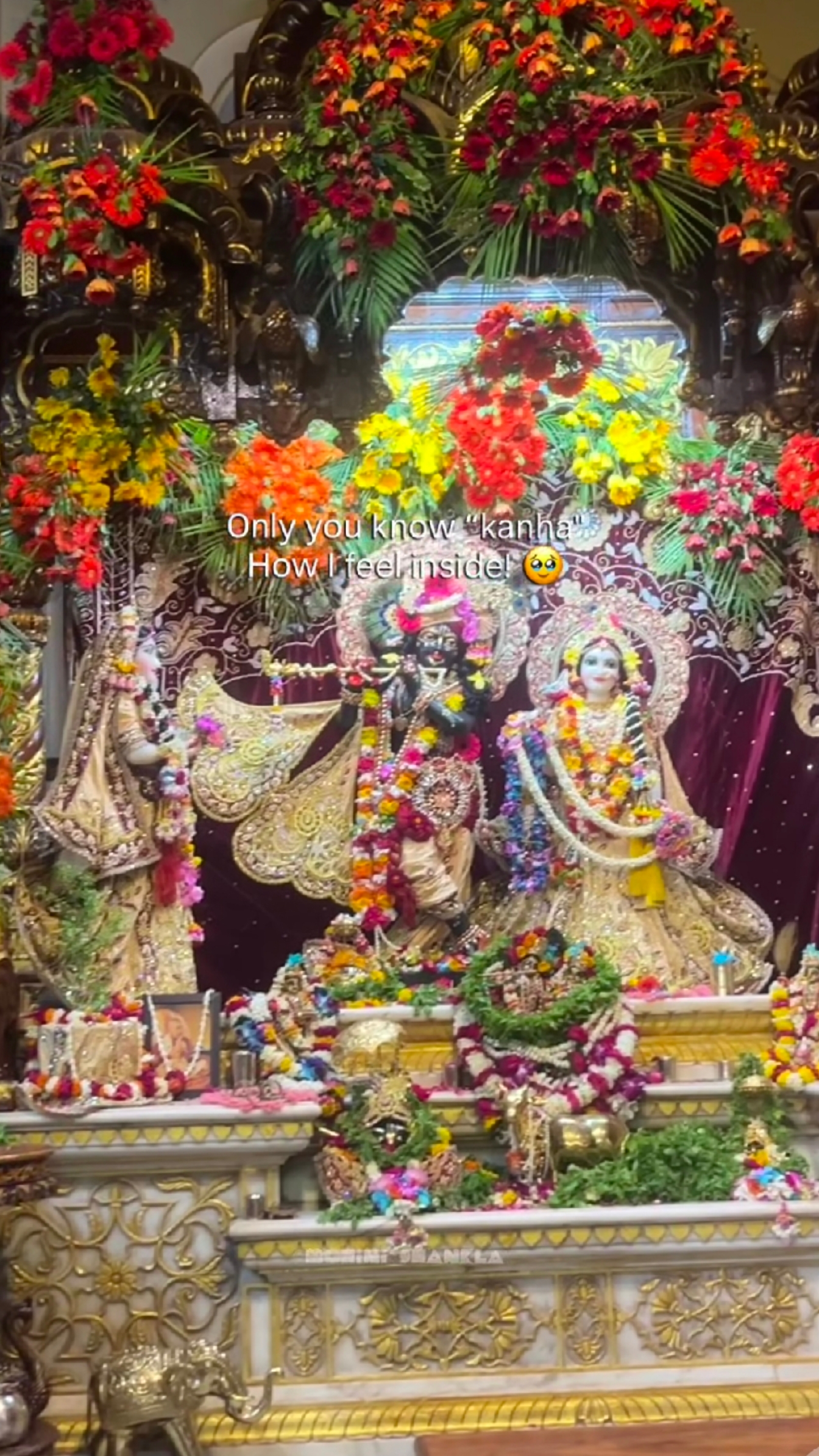 @🦚हरे कृष्ण (राधा❤️🪈)