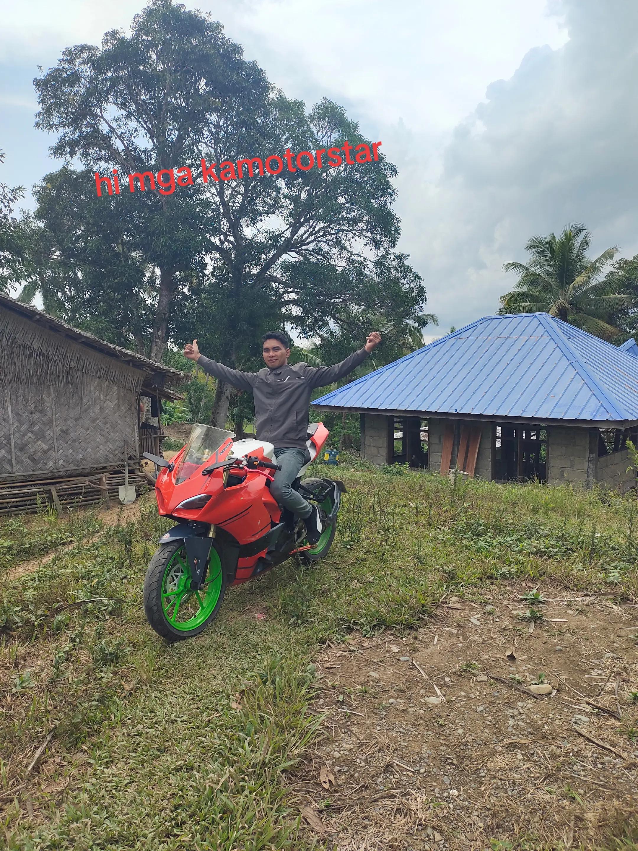 @palawan modified fiber