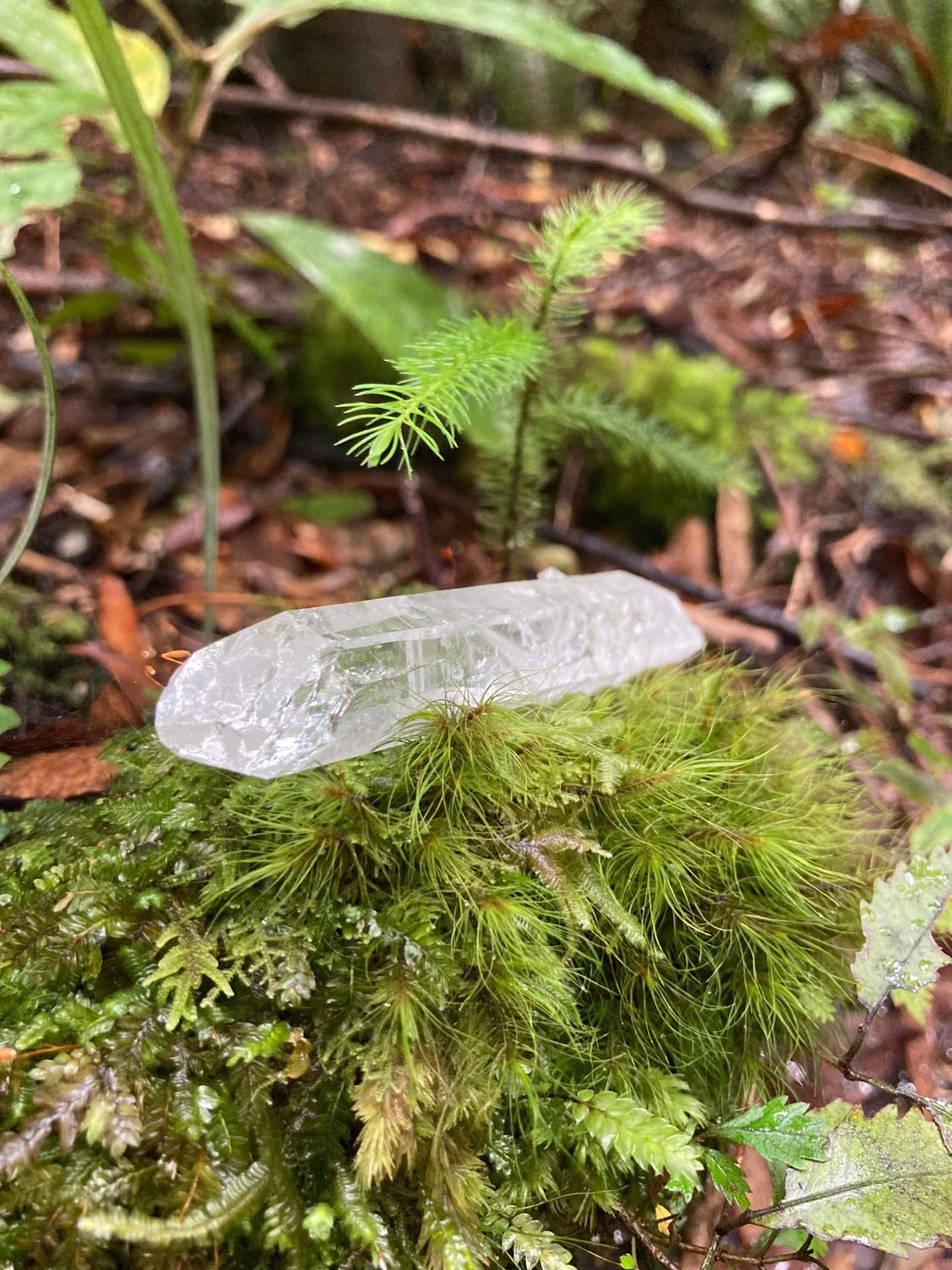 @Priestess Crystals