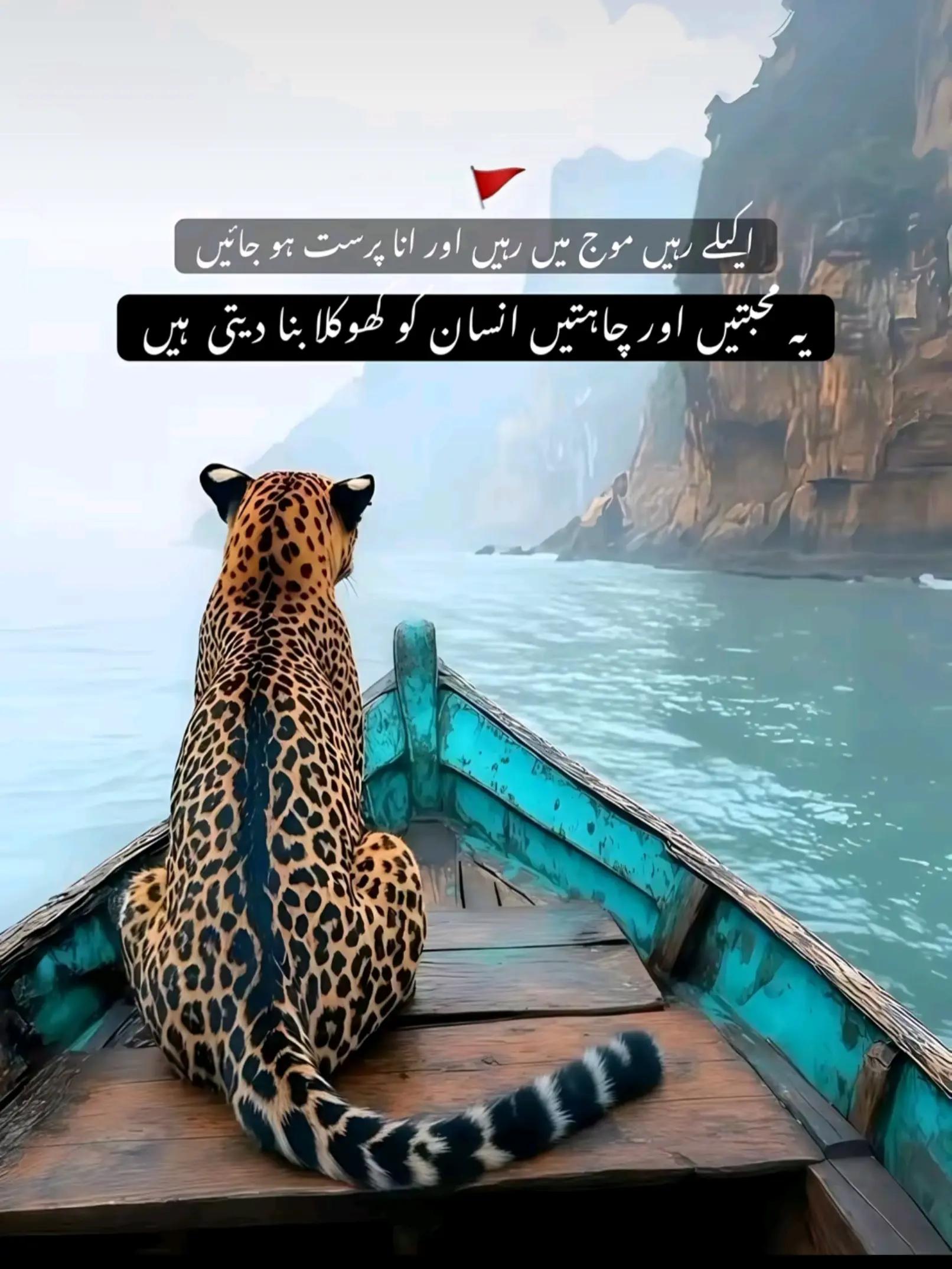 @👑☠️RaJpOoT❤️🔥گجرات آلا☠️👑