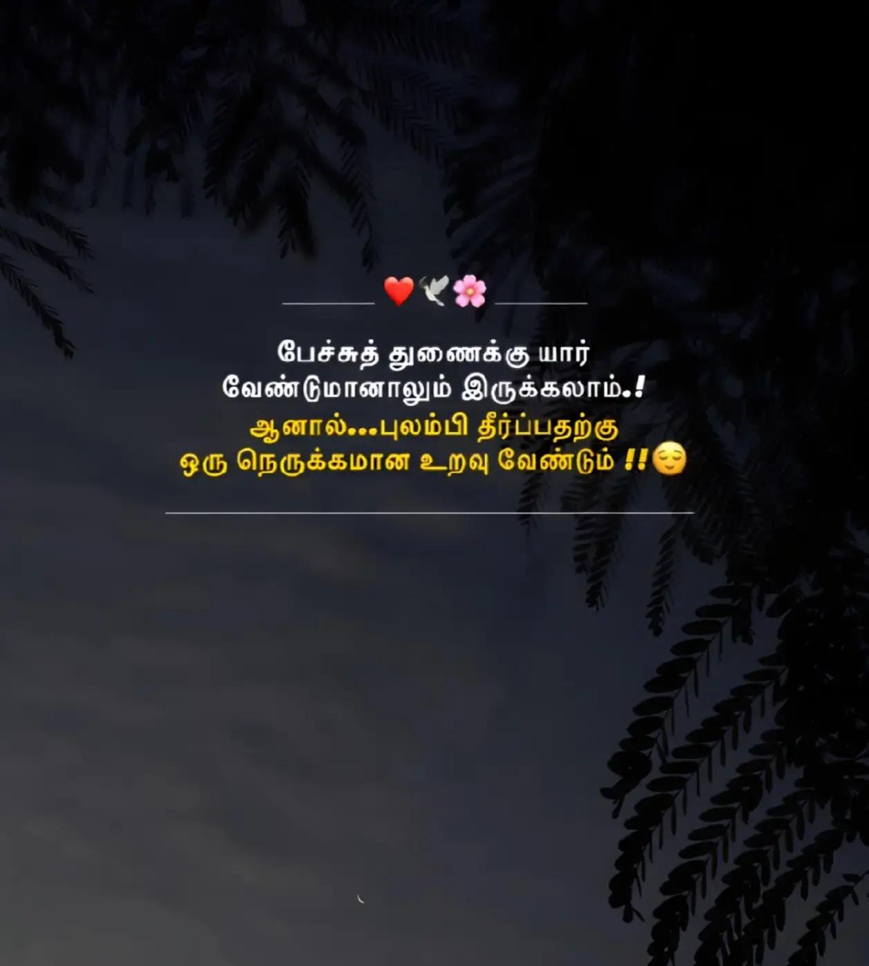 @CUTE ☺️SPARK 🔥KSN 😻