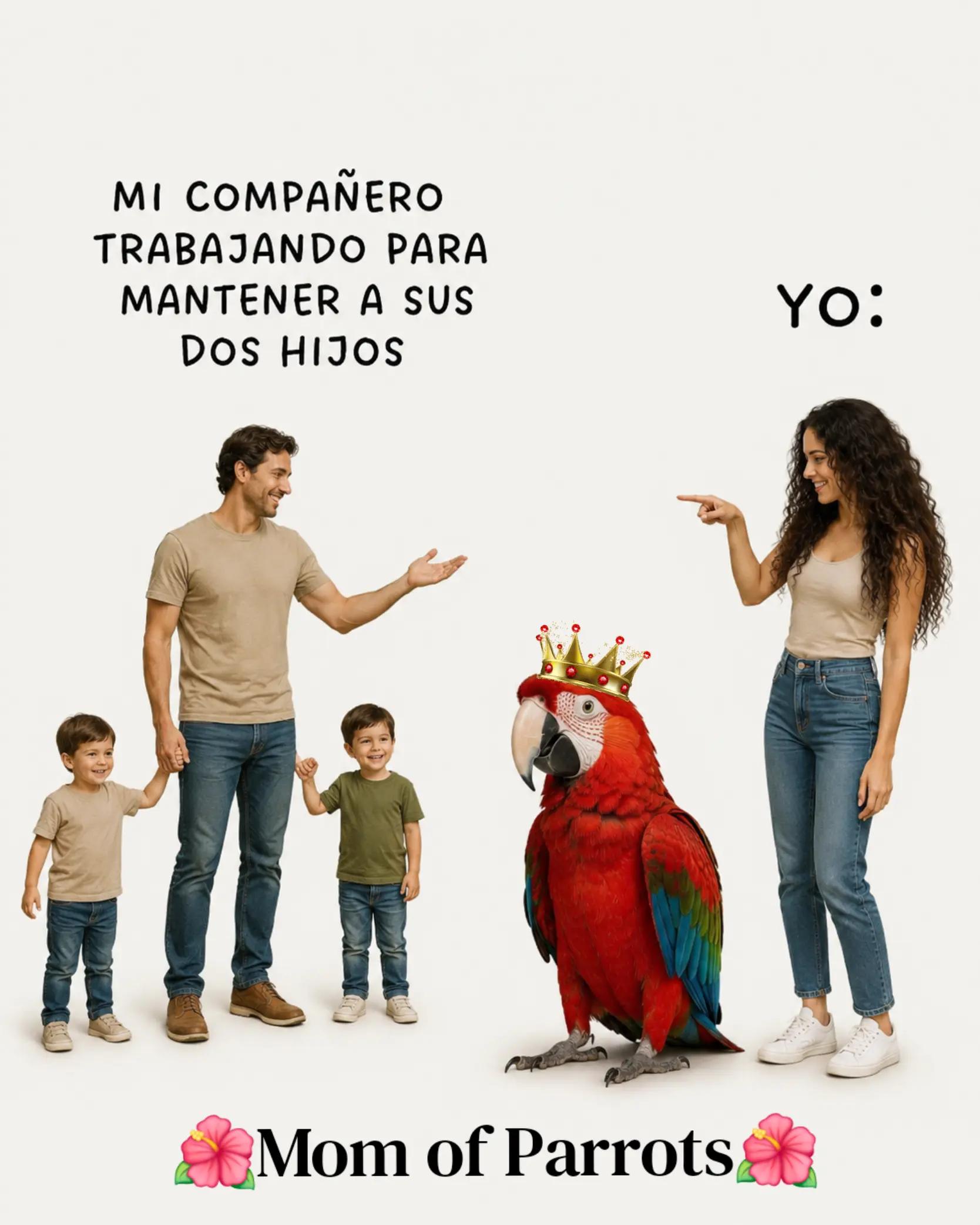 @🦋🇵🇷Mom of Parrots🇵🇷🦋