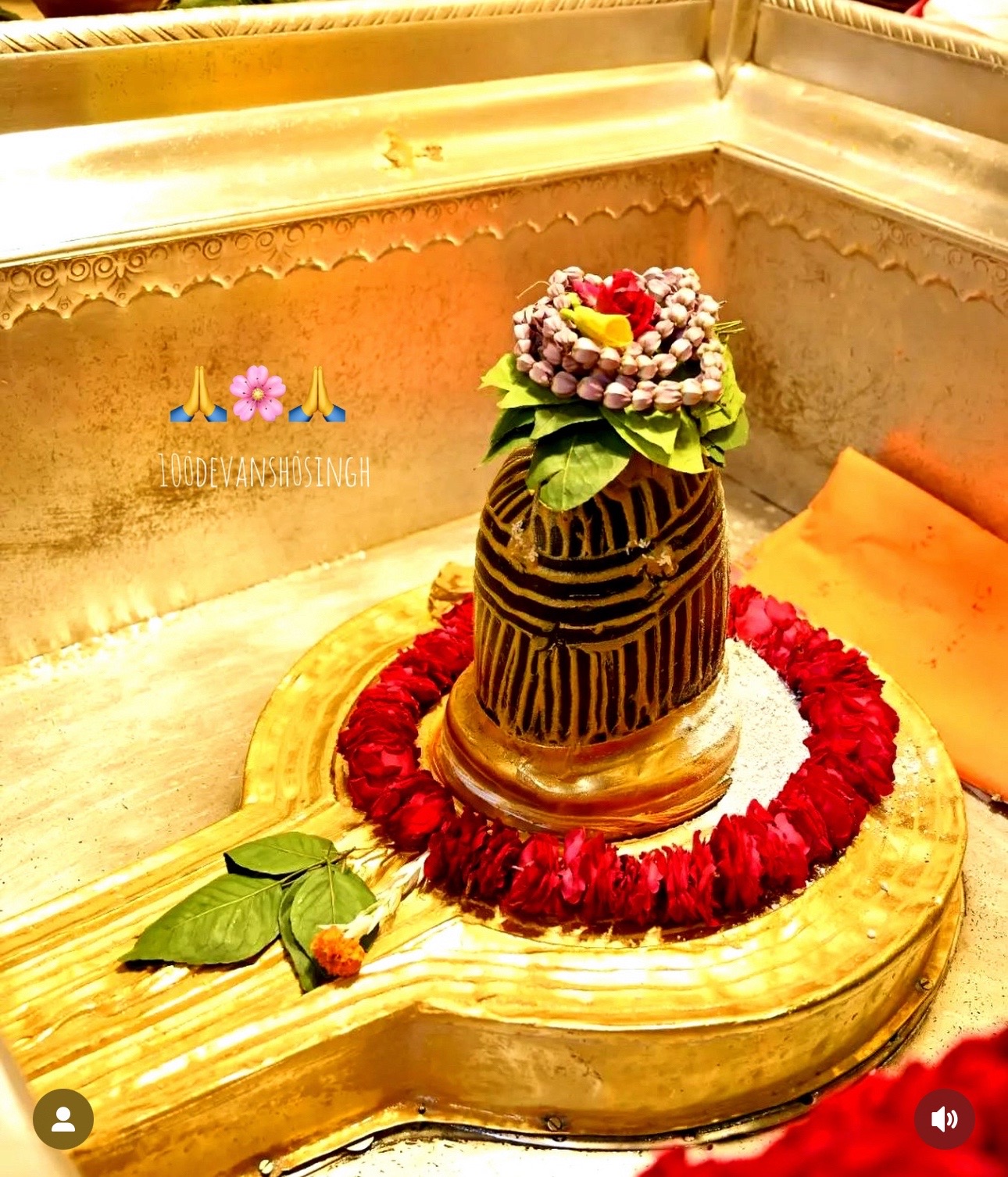 @Lavanya P S