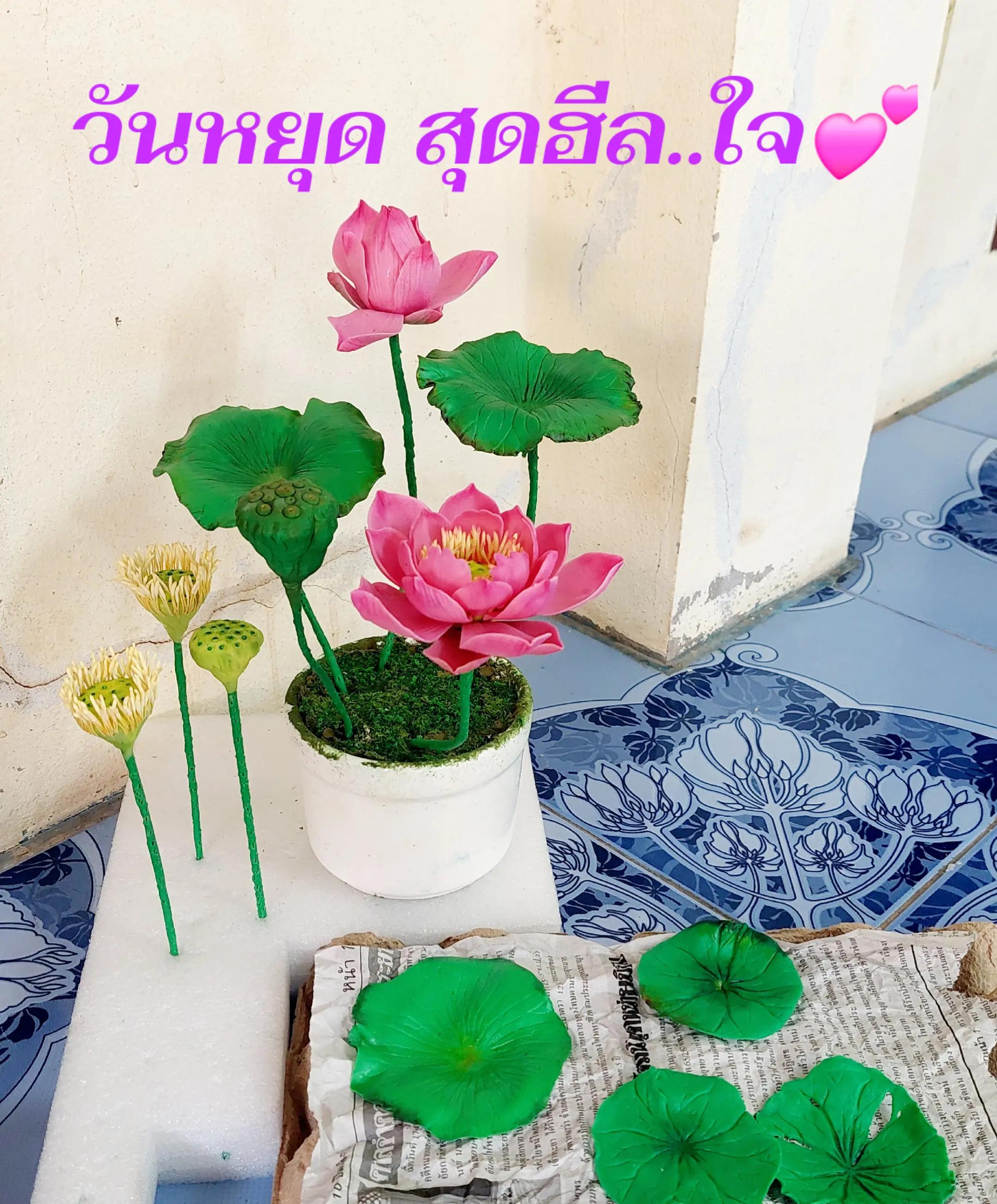 @Arthitayar-นุ่น🥰🥰