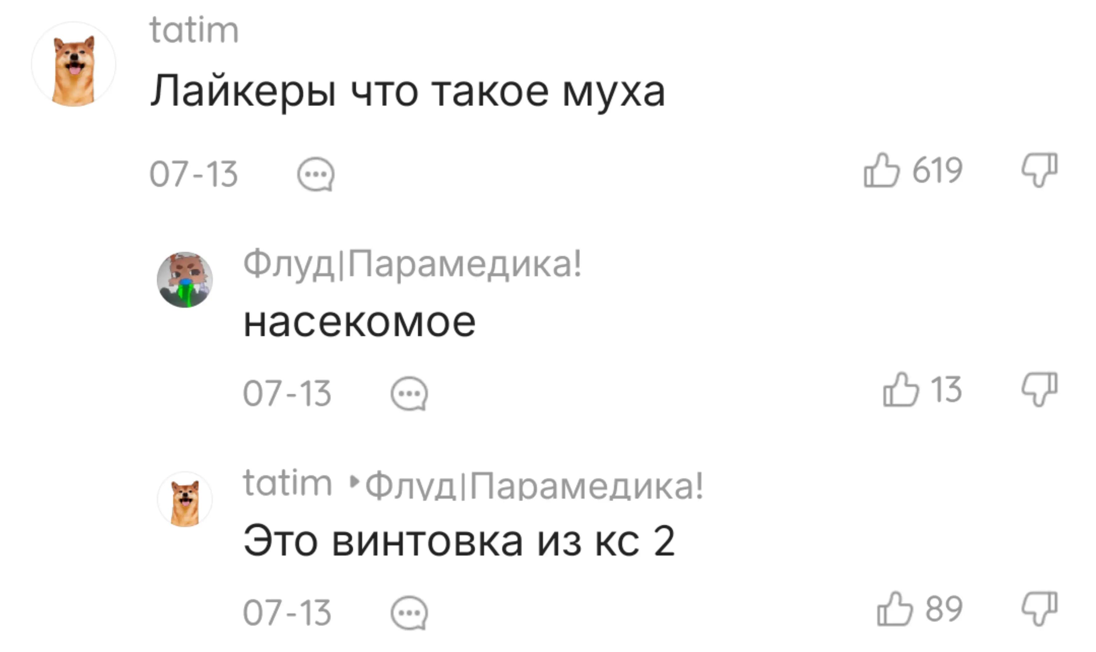@gavz