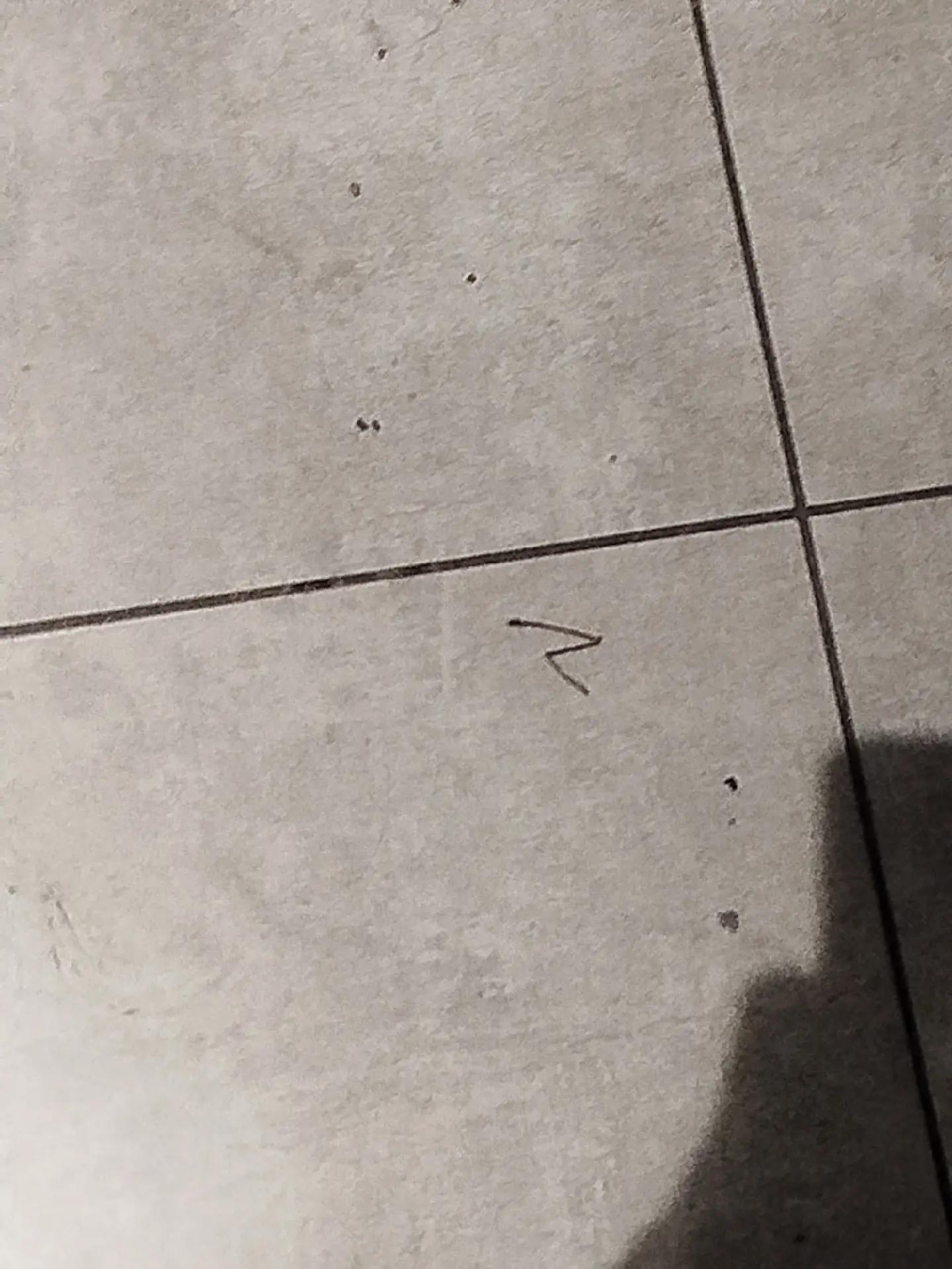 @korizzn
