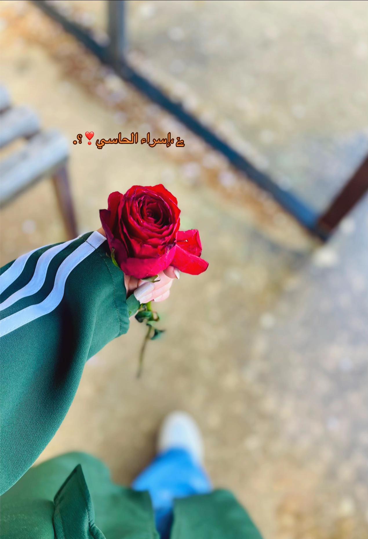 @@Esraa Alhassi❤.؟